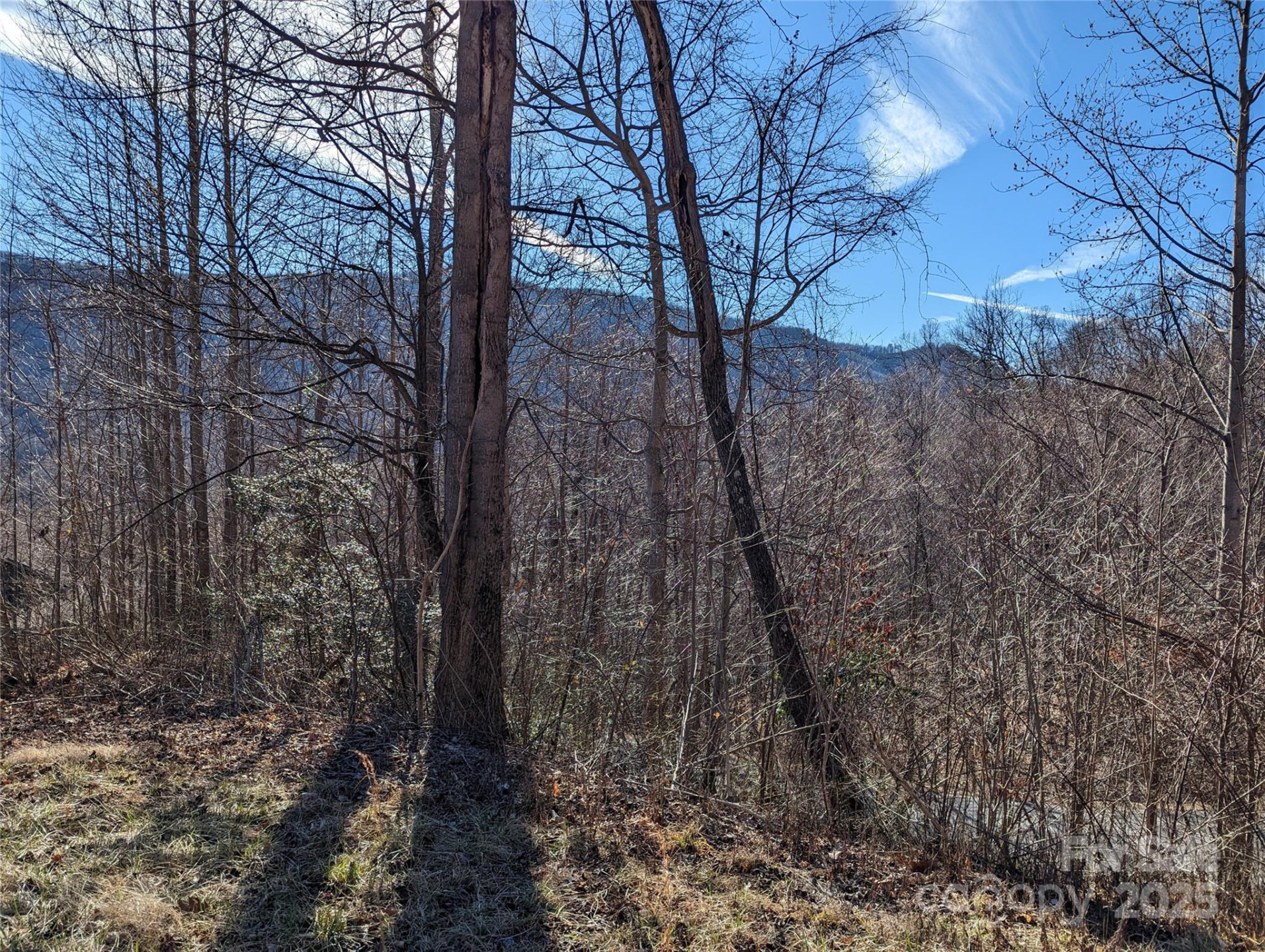 117 Ironwood Lane #C-20 - Photo 6