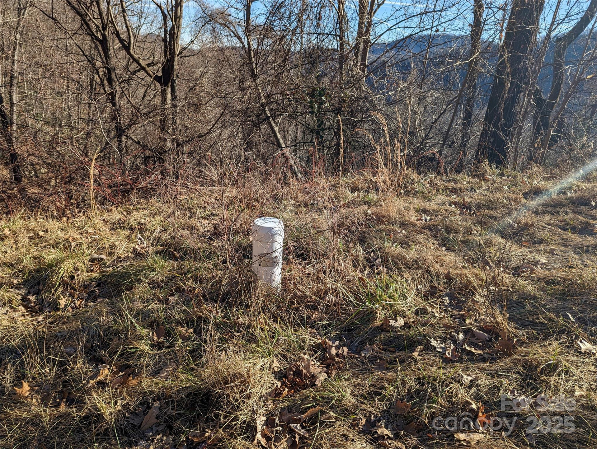 117 Ironwood Lane #C-20 - Photo 9