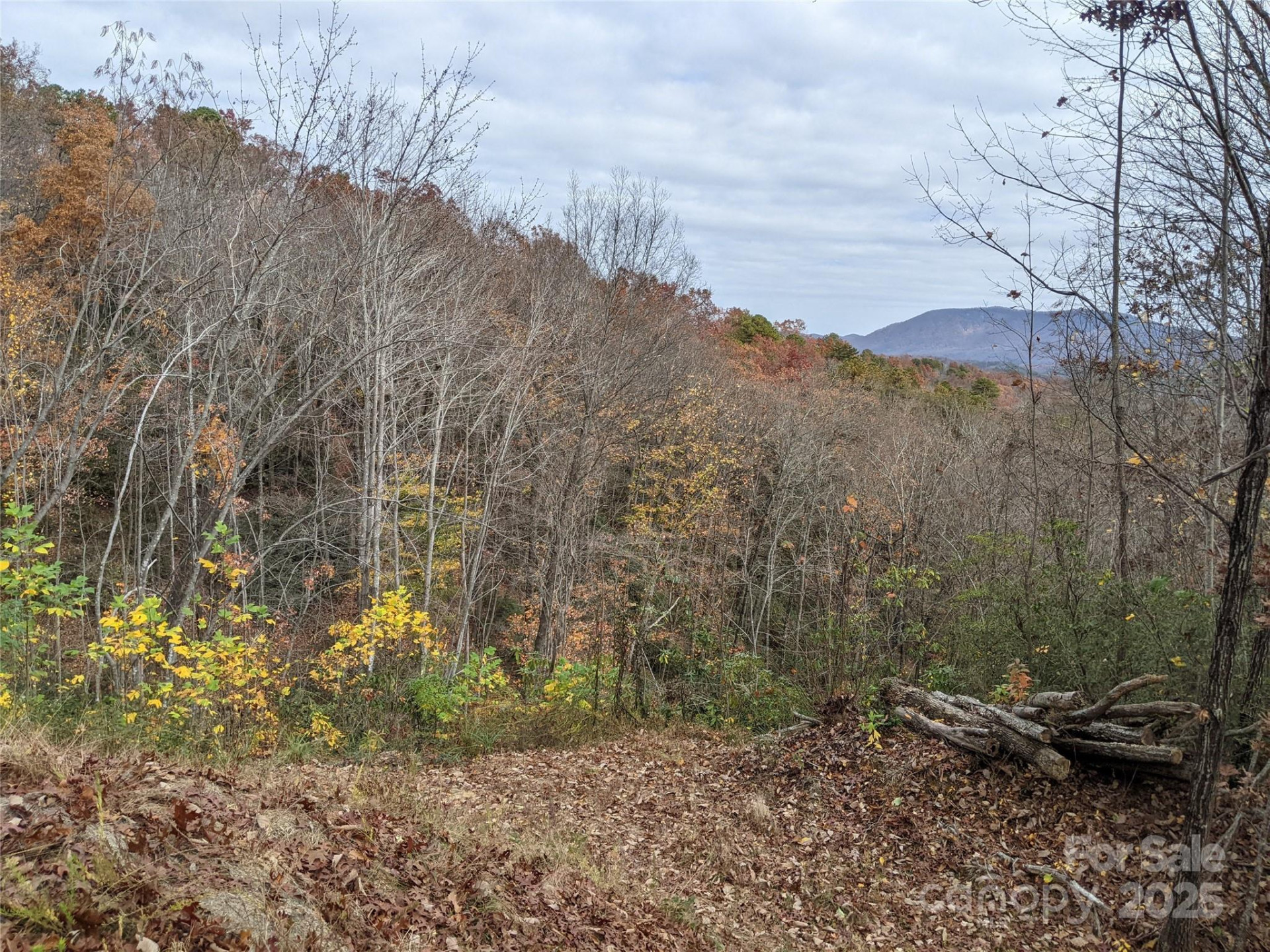 171 Nuthatch Lane #C-30 - Photo 2