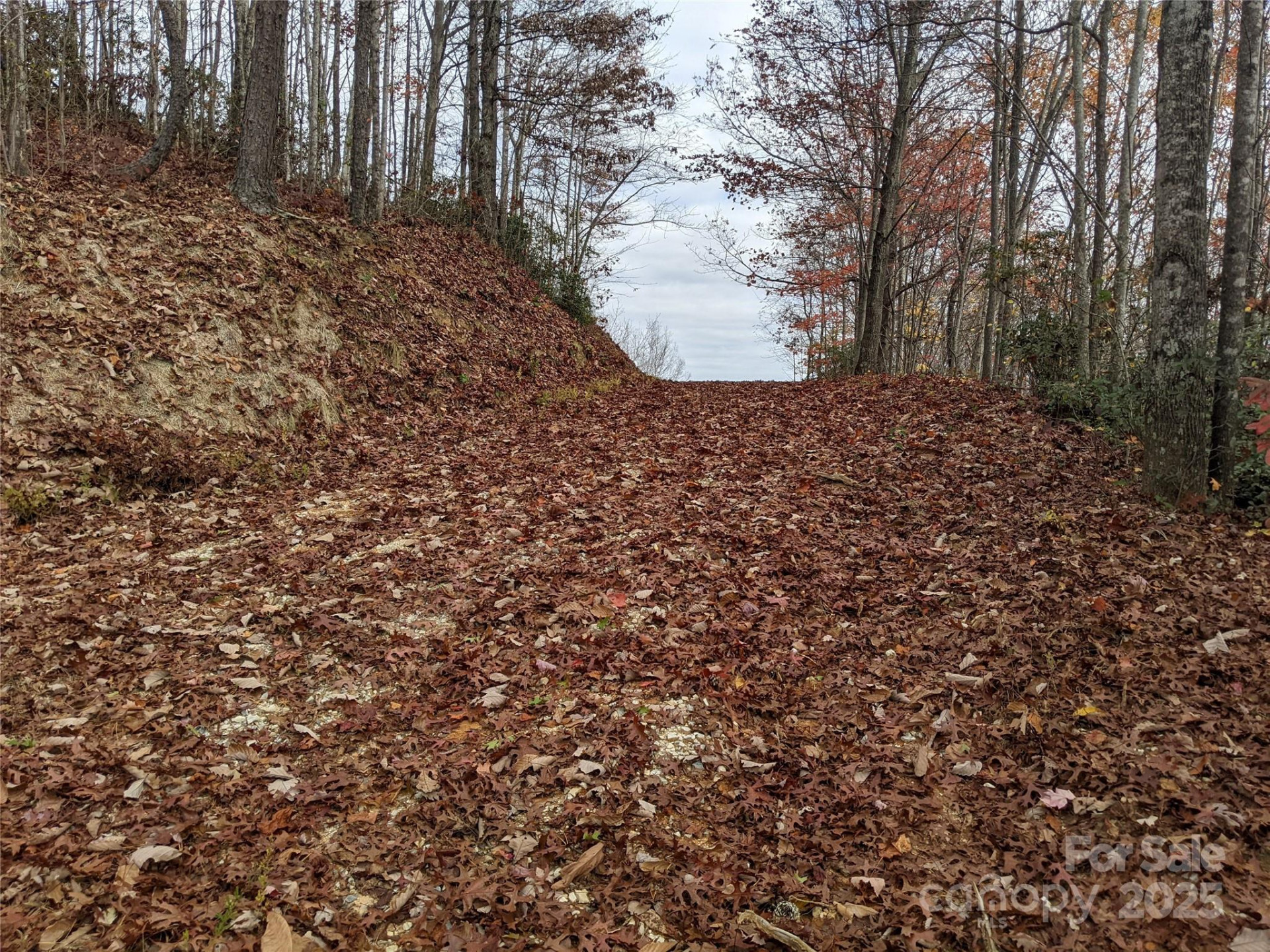 171 Nuthatch Lane #C-30 - Photo 4