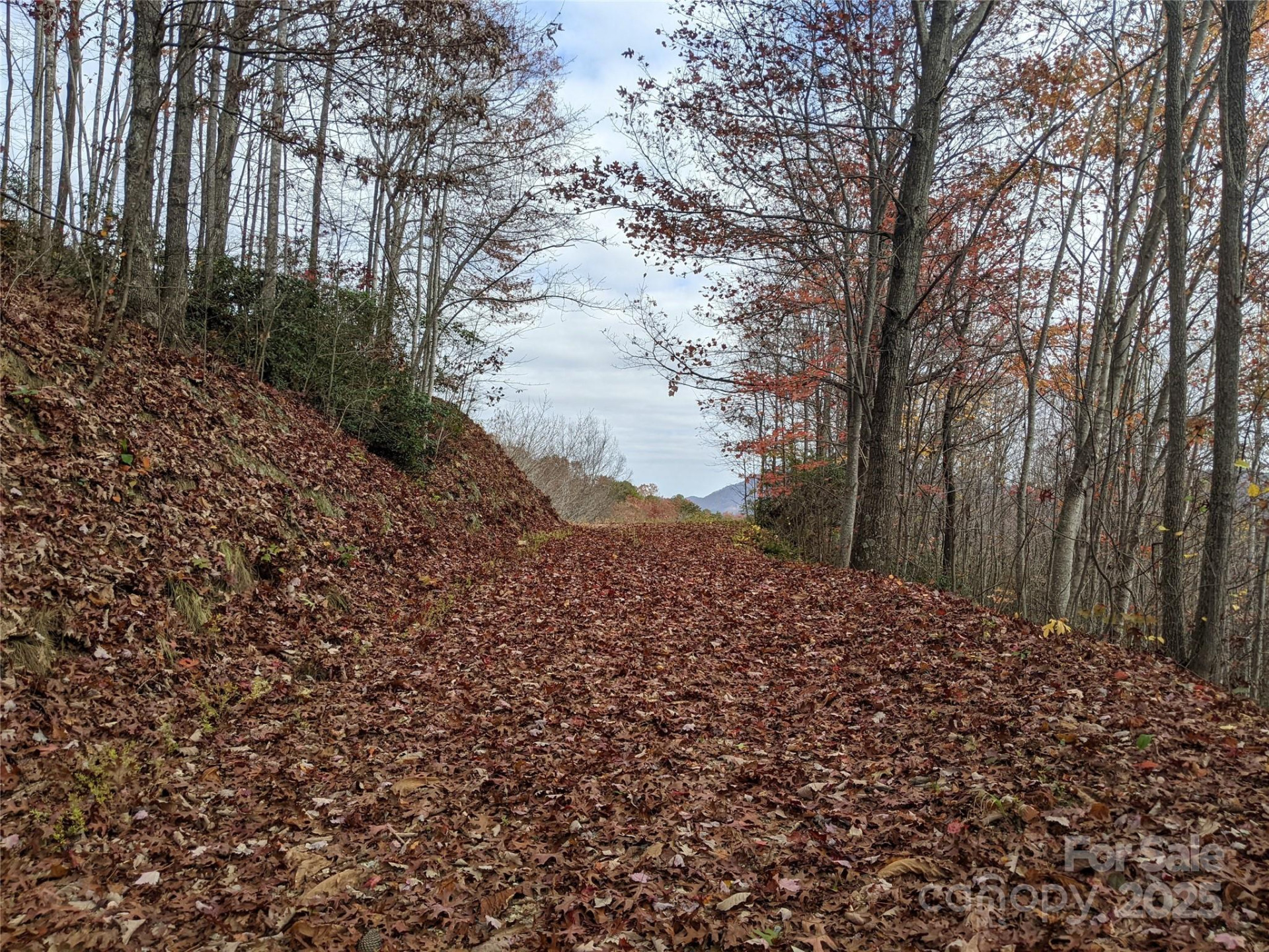 171 Nuthatch Lane #C-30 - Photo 5