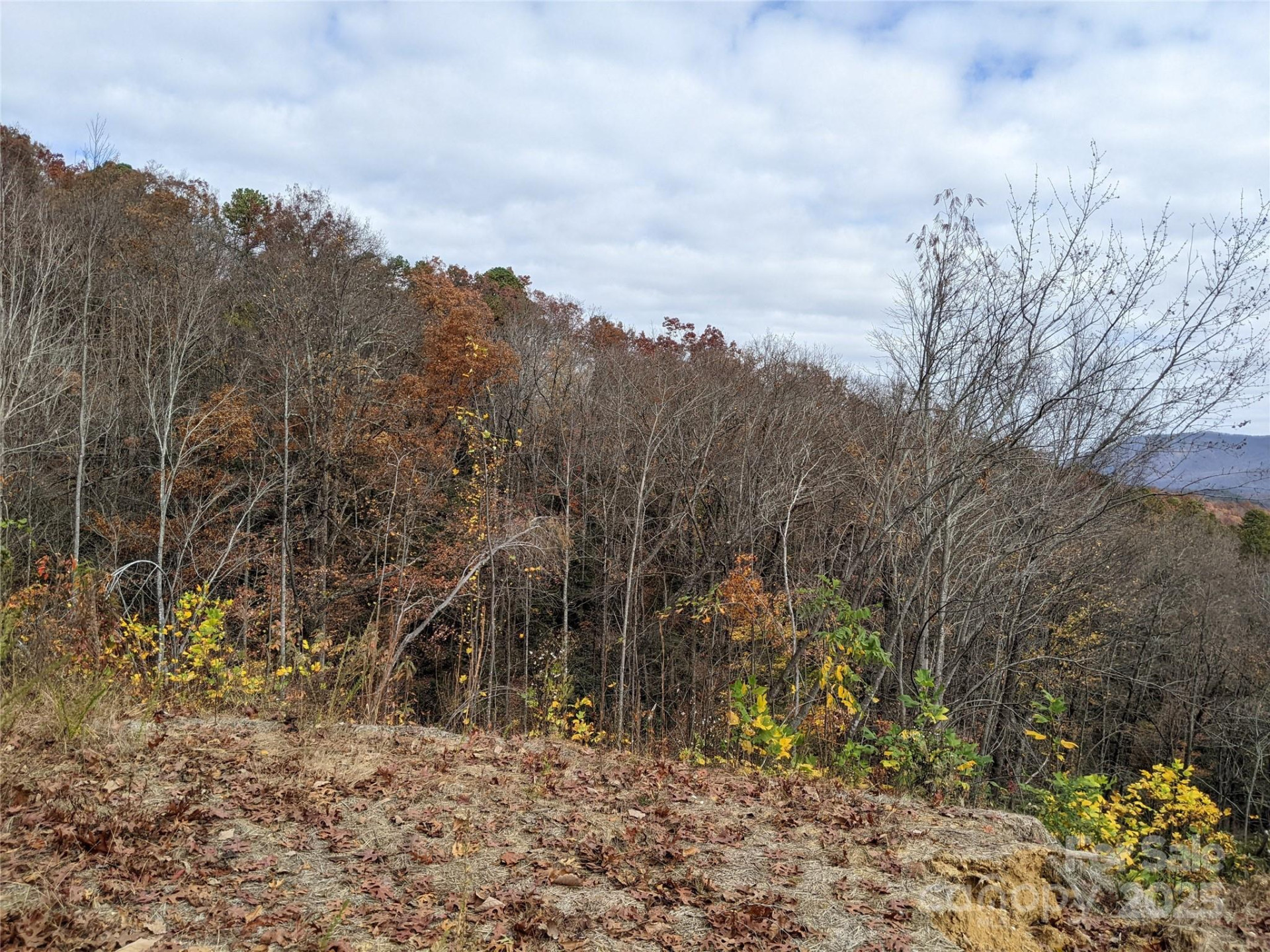 171 Nuthatch Lane #C-30 - Photo 6