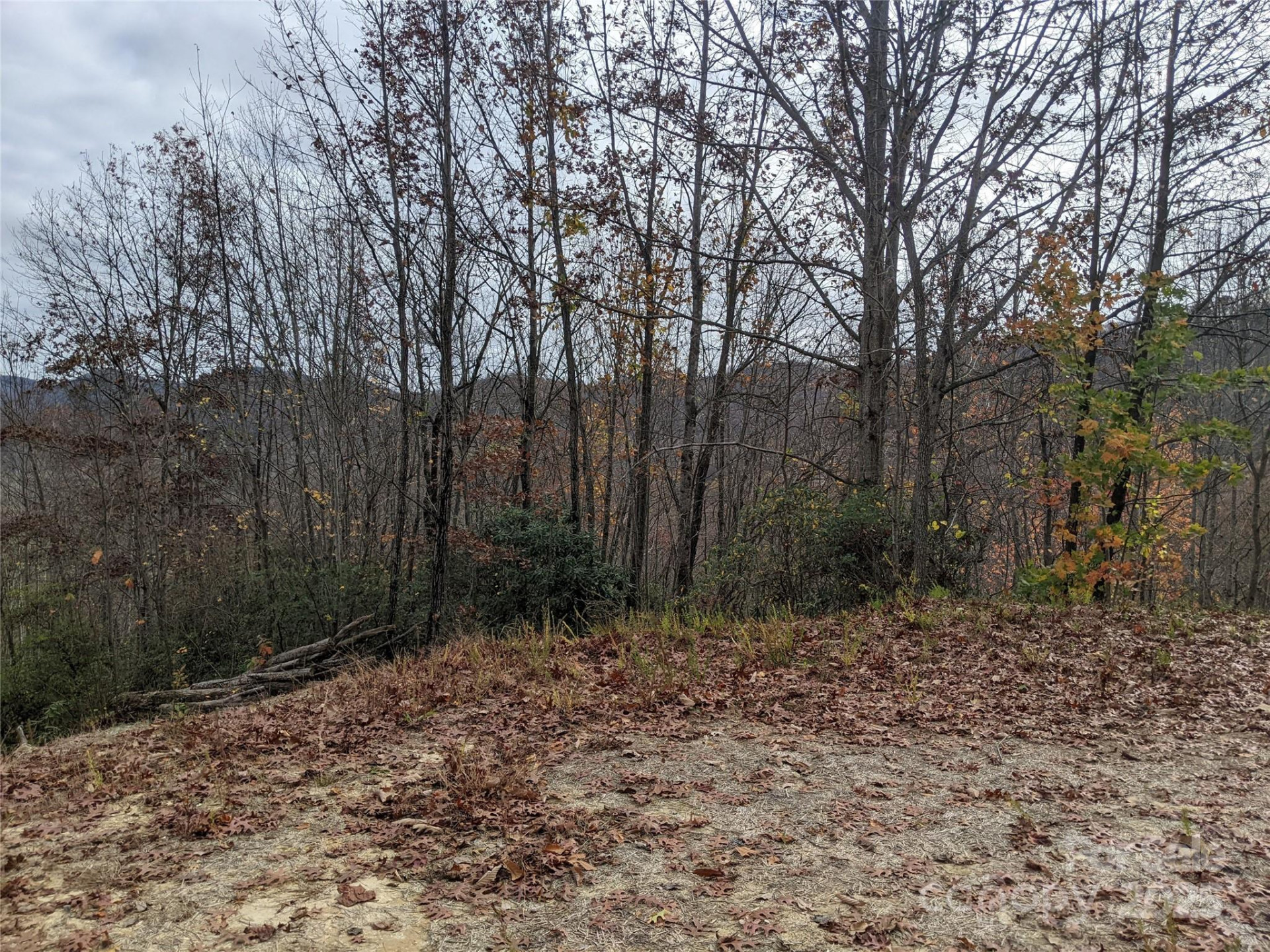 171 Nuthatch Lane #C-30 - Photo 7