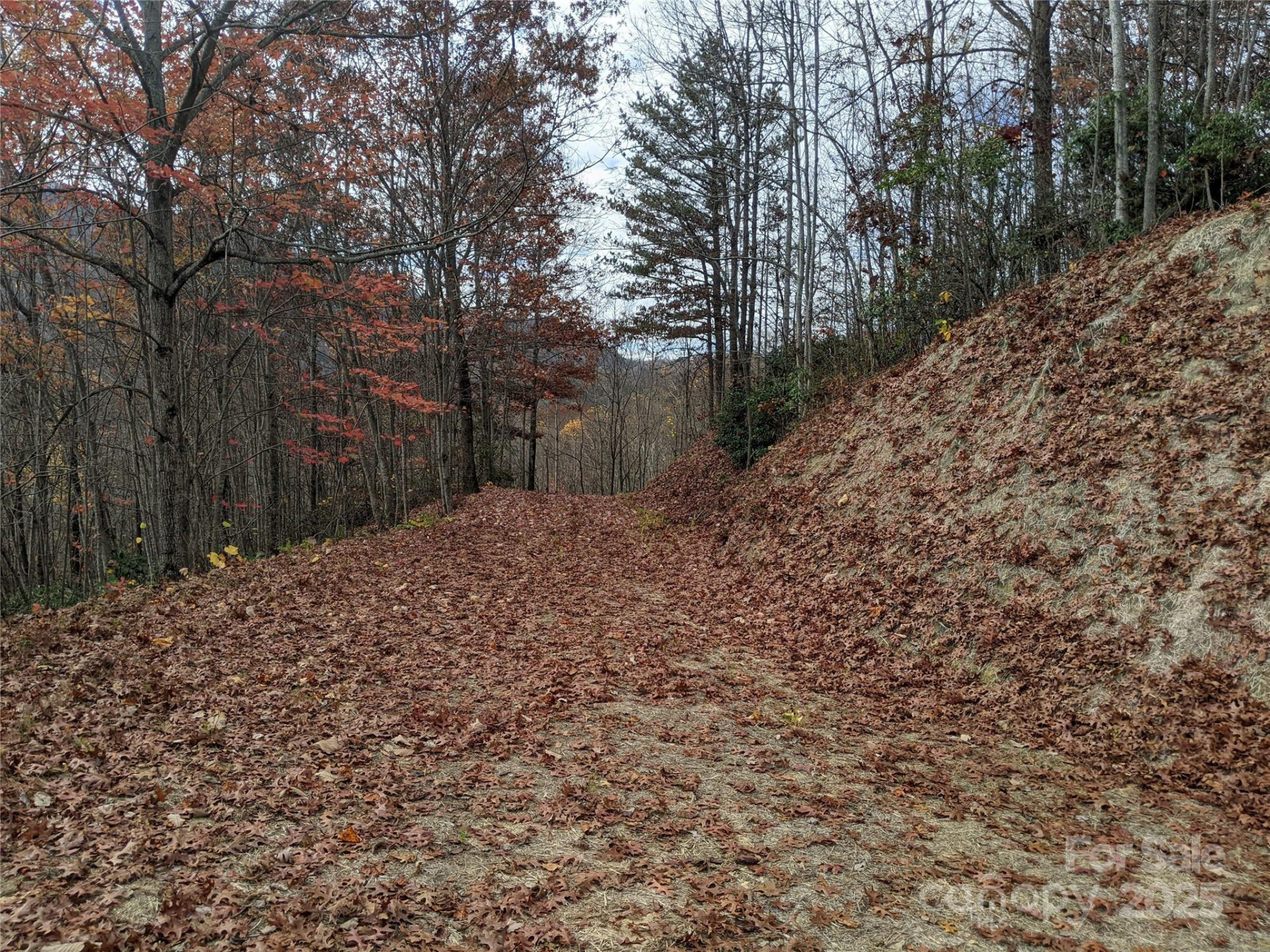 171 Nuthatch Lane #C-30 - Photo 8