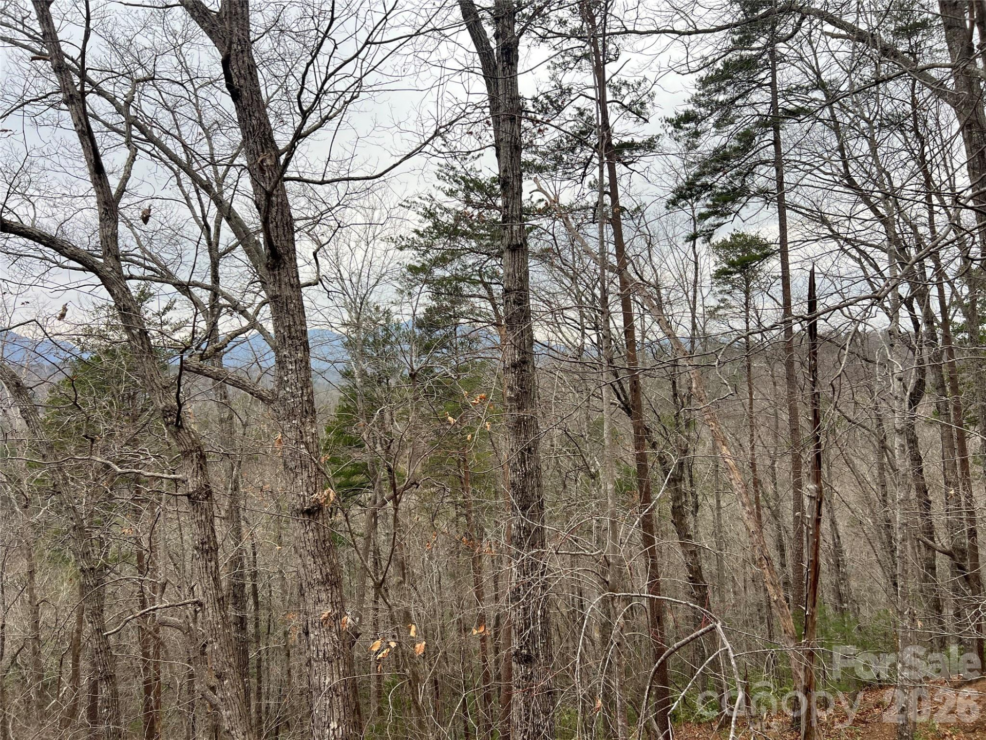 132 Egret Road - Photo 48