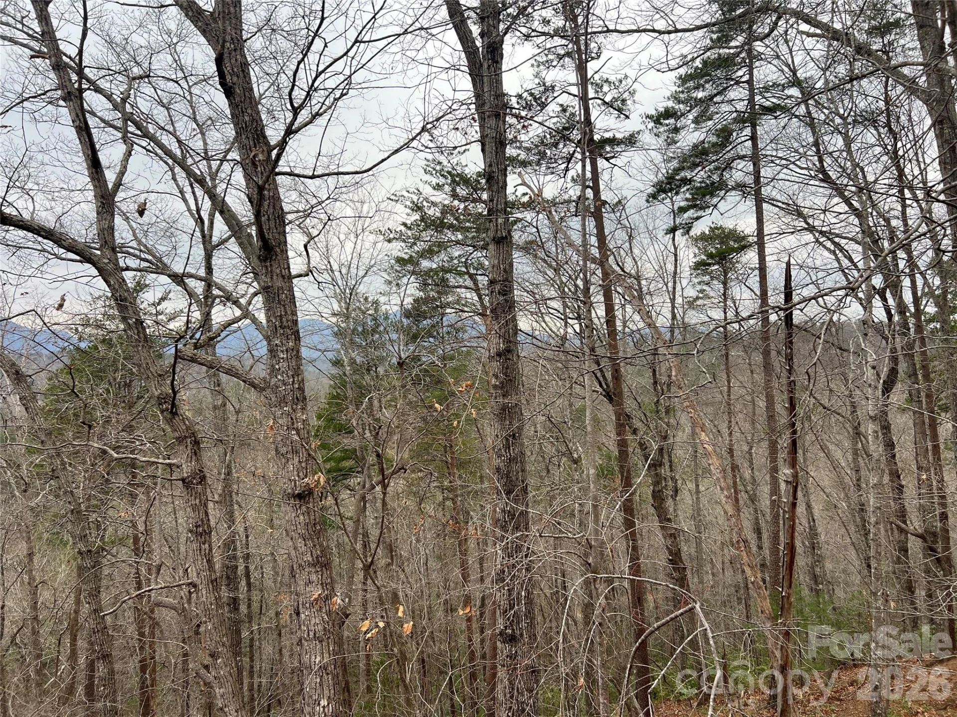 132 Egret Road - Photo 48