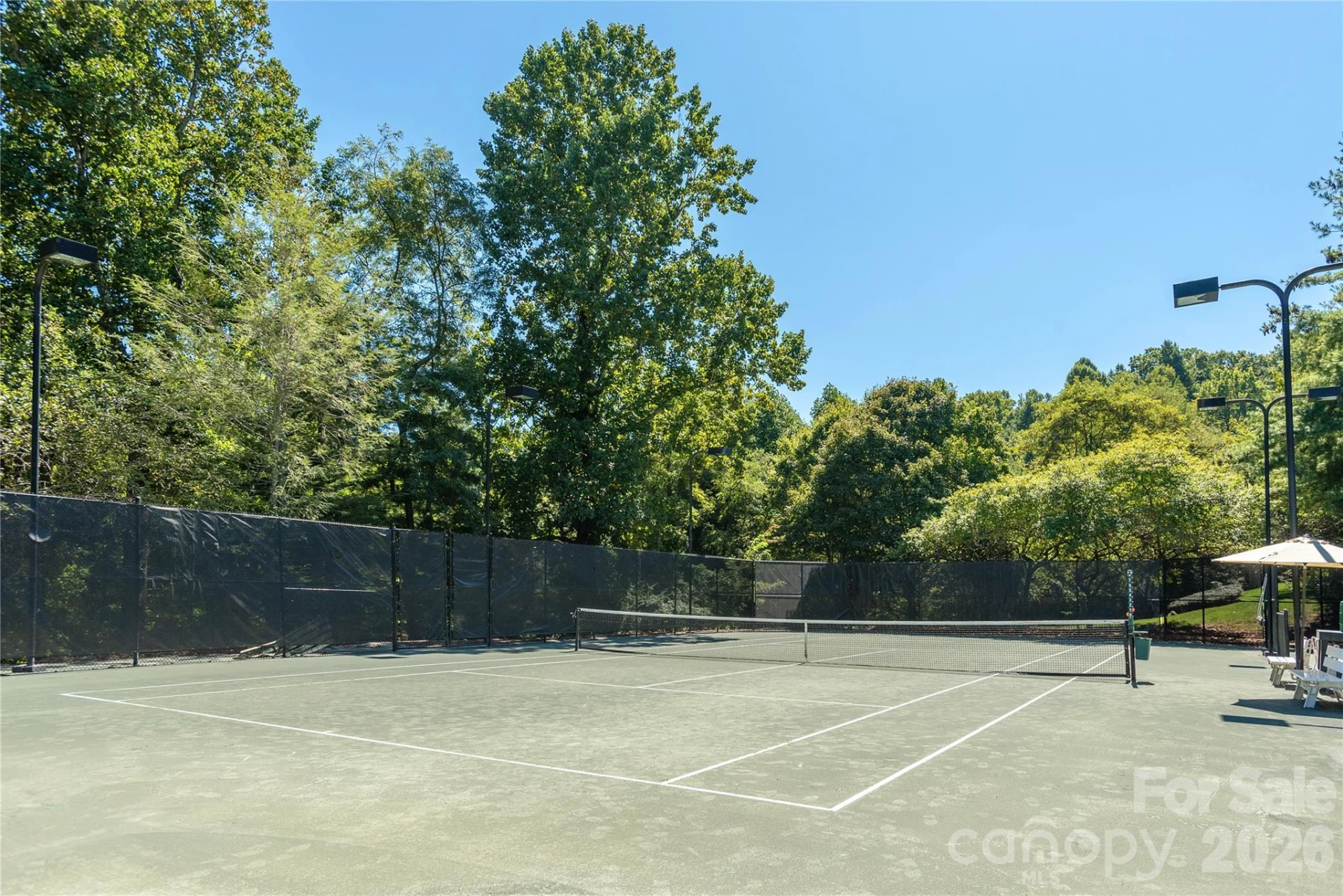 158 Chattooga Run - Photo 11