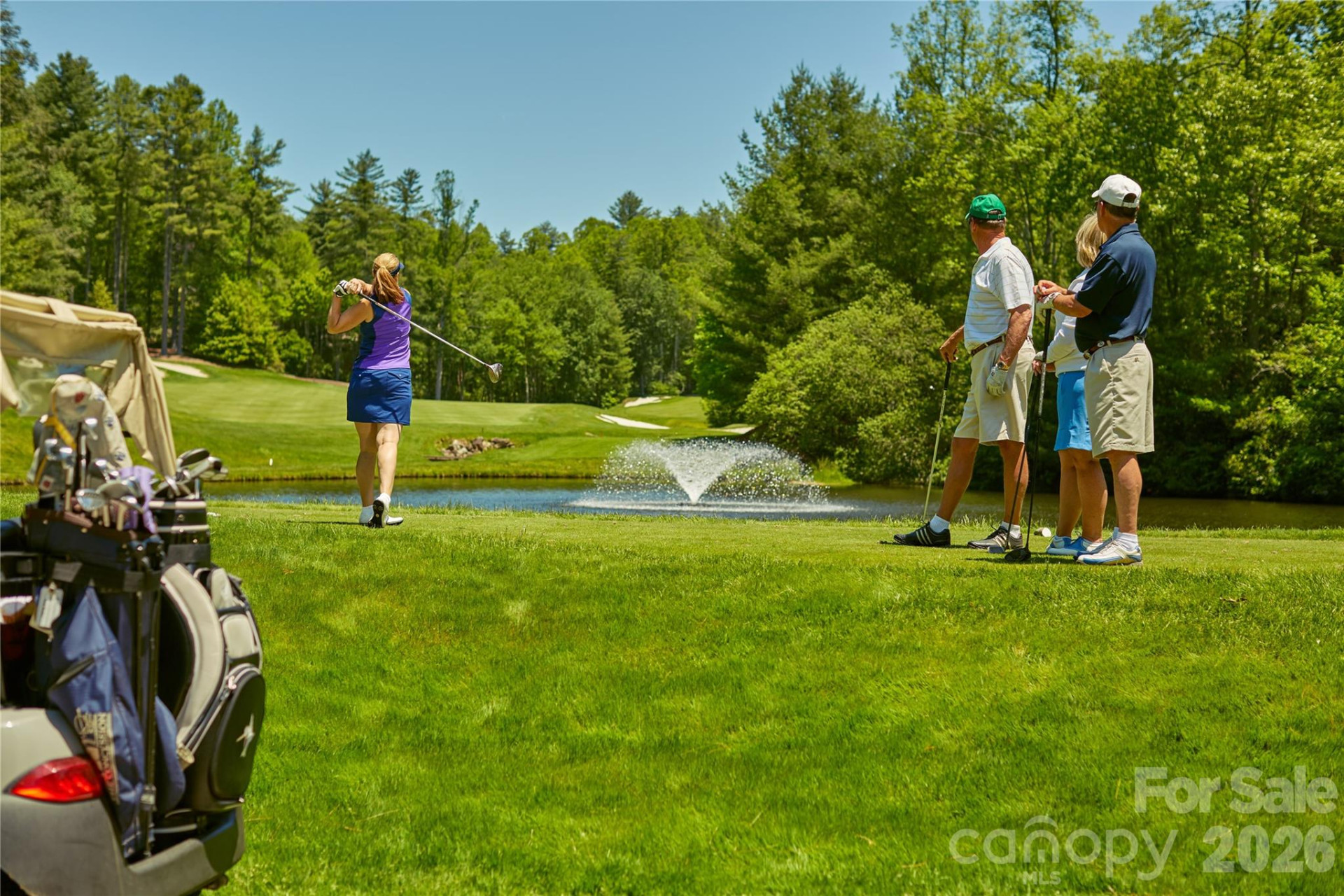 158 Chattooga Run - Photo 14