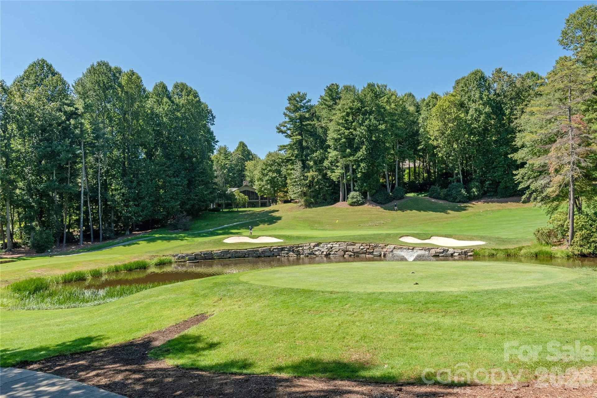 158 Chattooga Run - Photo 8