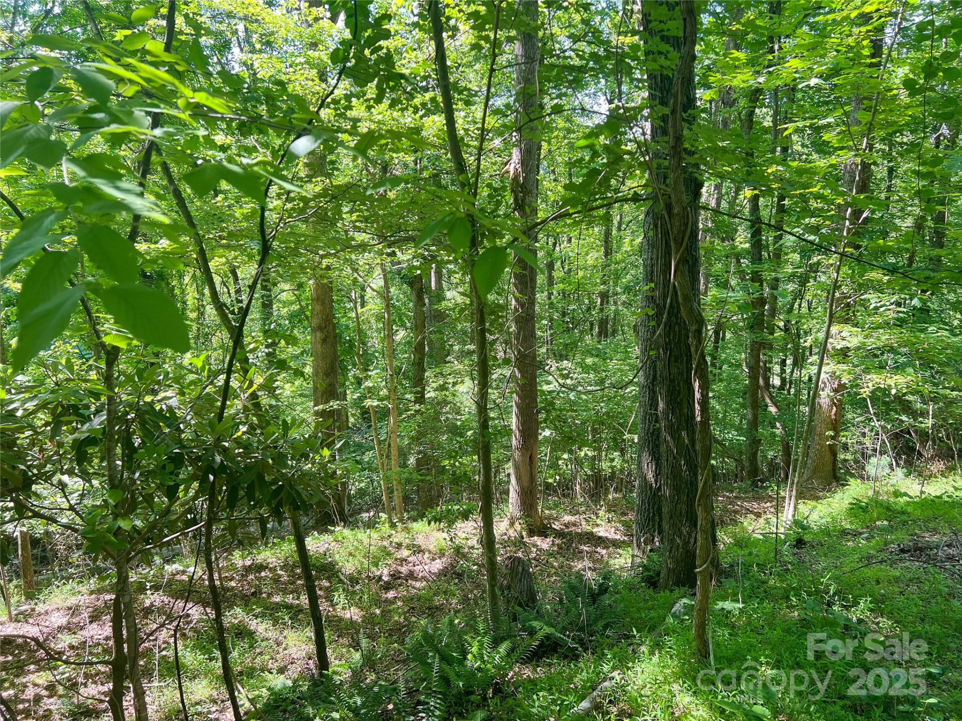 101 Chattooga Run #181 - Photo 2