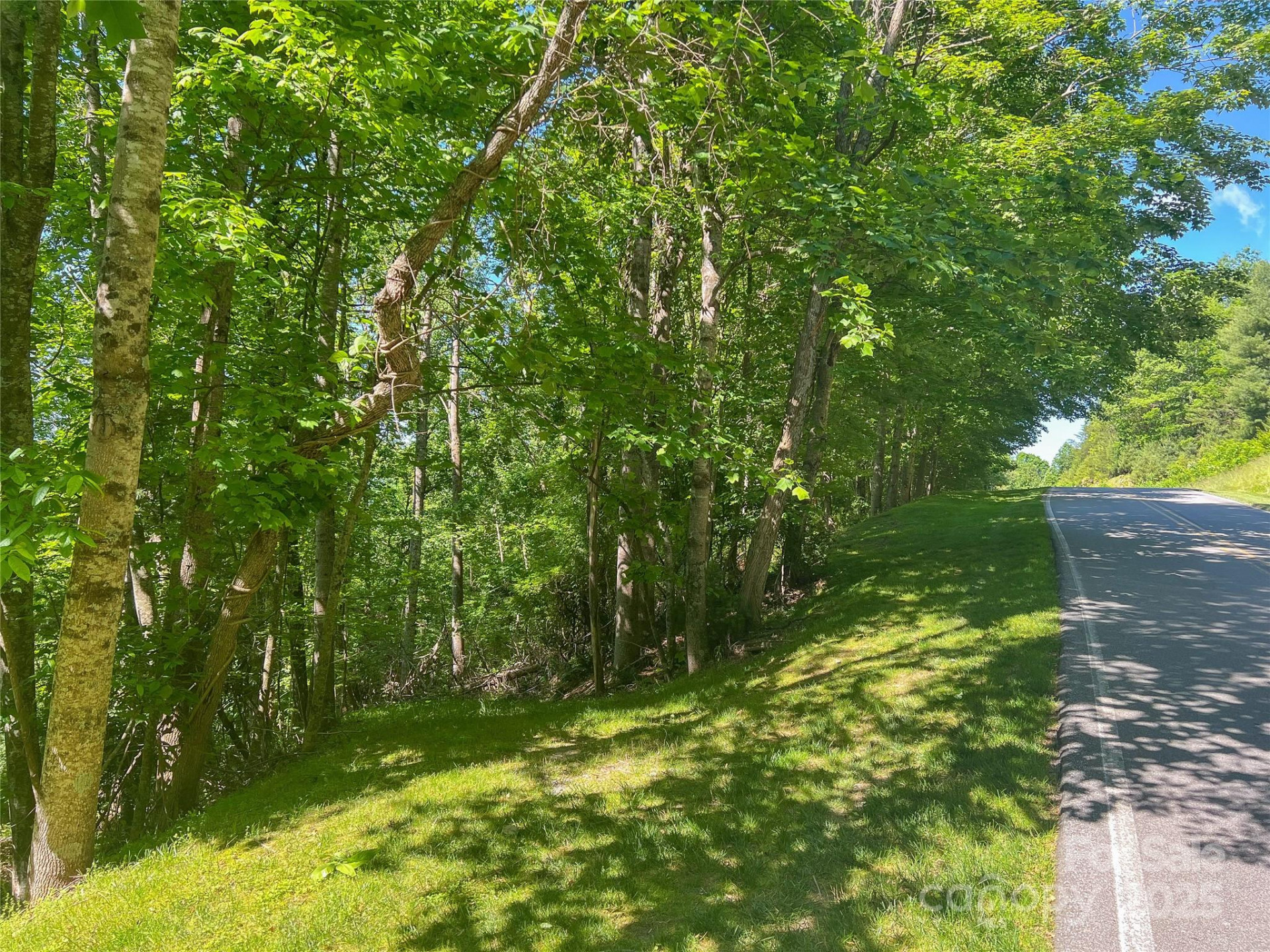 101 Chattooga Run #181 - Photo 3