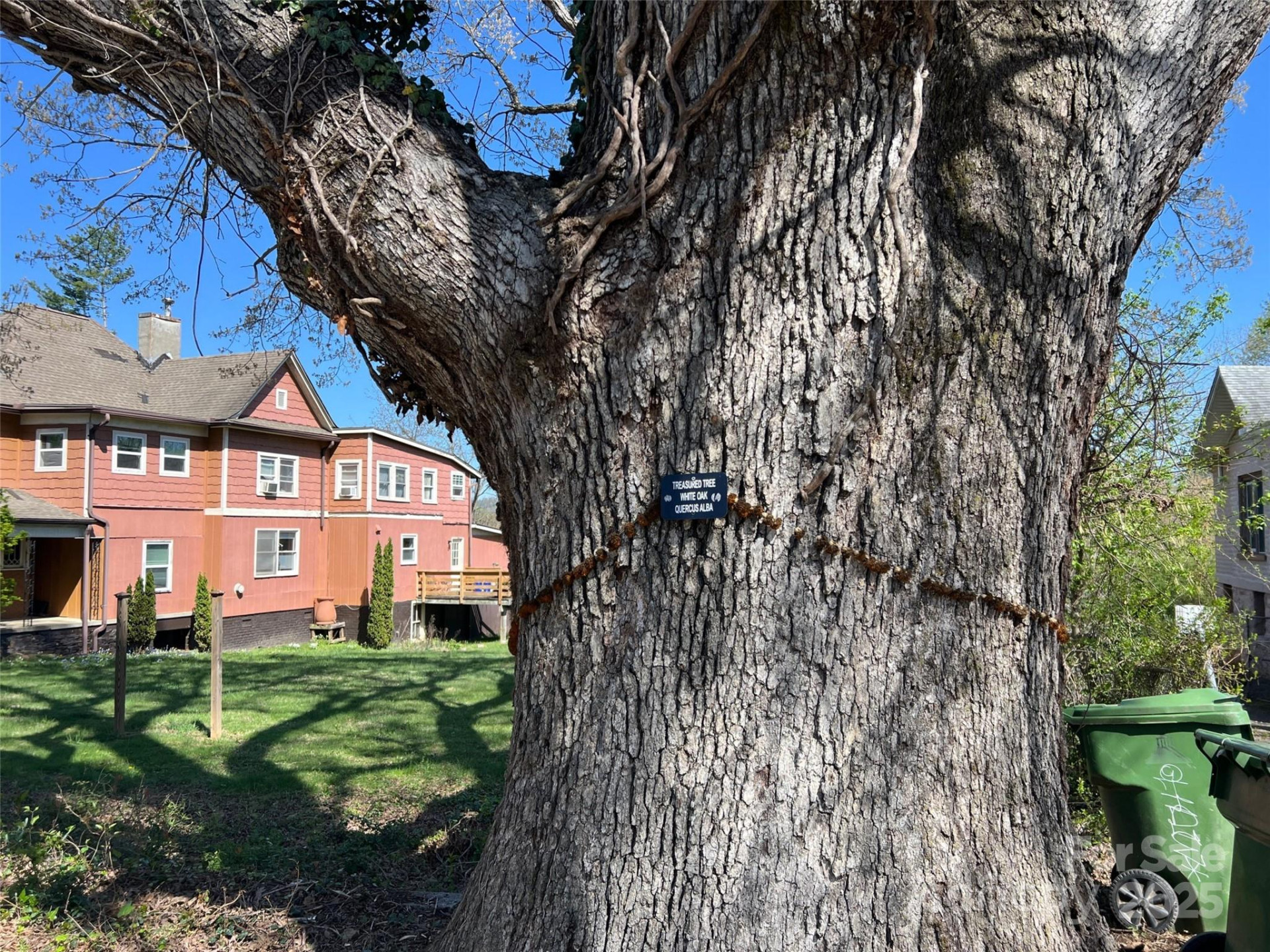 31 Westwood Place - Photo 4