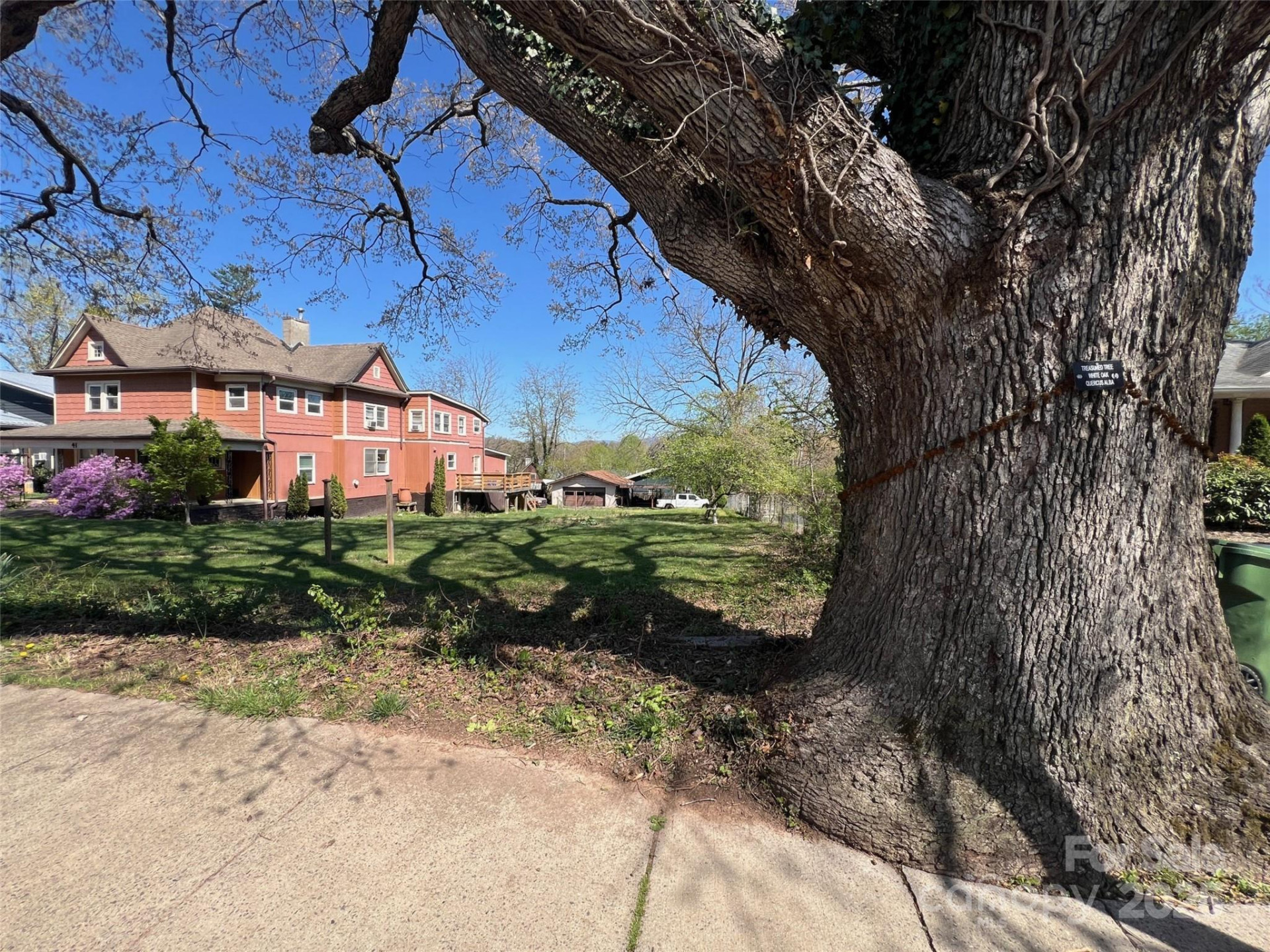 31 Westwood Place - Photo 6