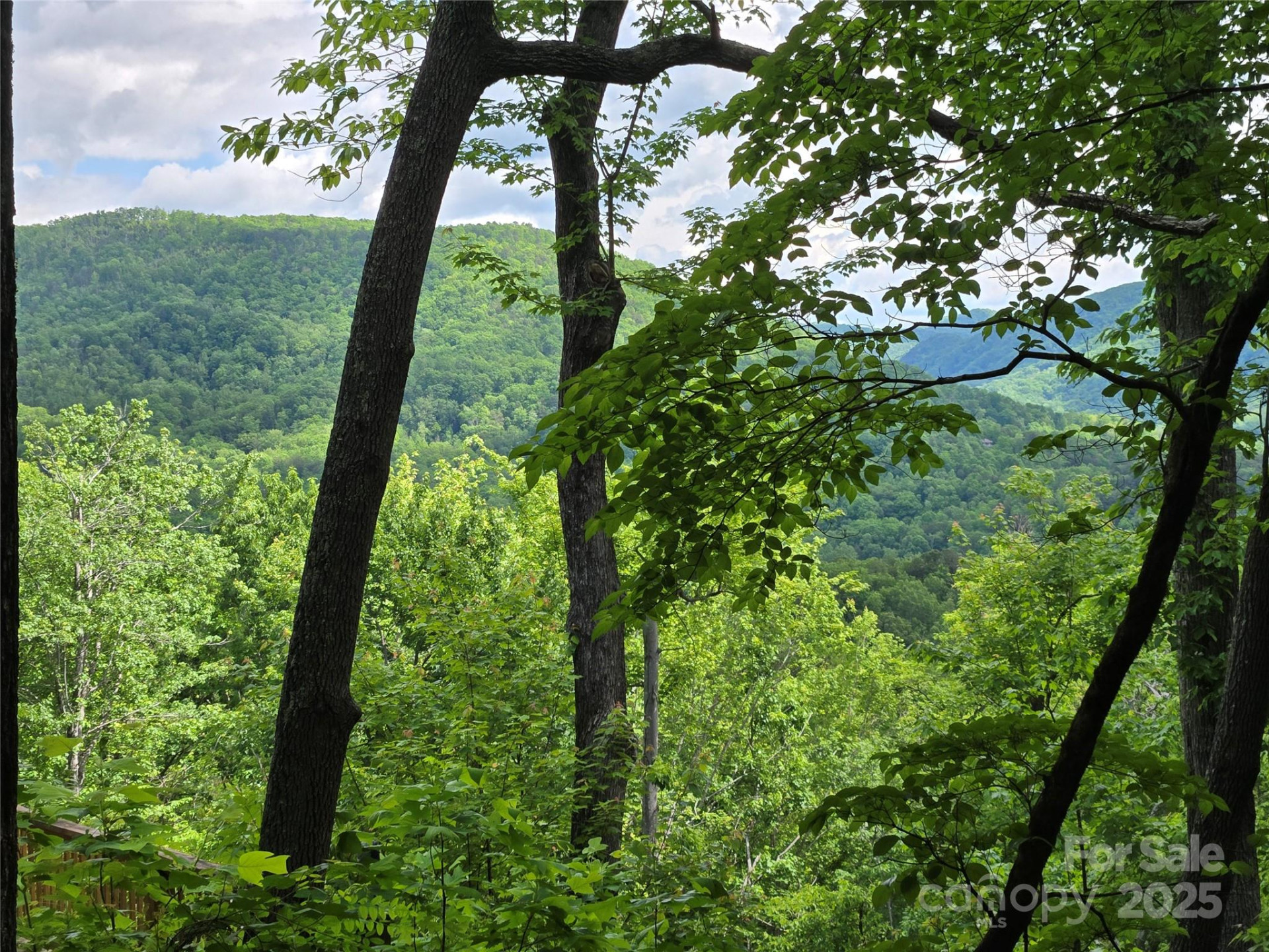 Lot 230 Swallow Lane - Photo 2