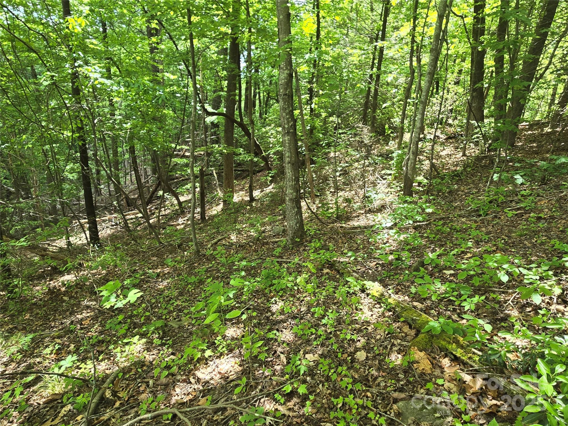 Lot 230 Swallow Lane - Photo 3