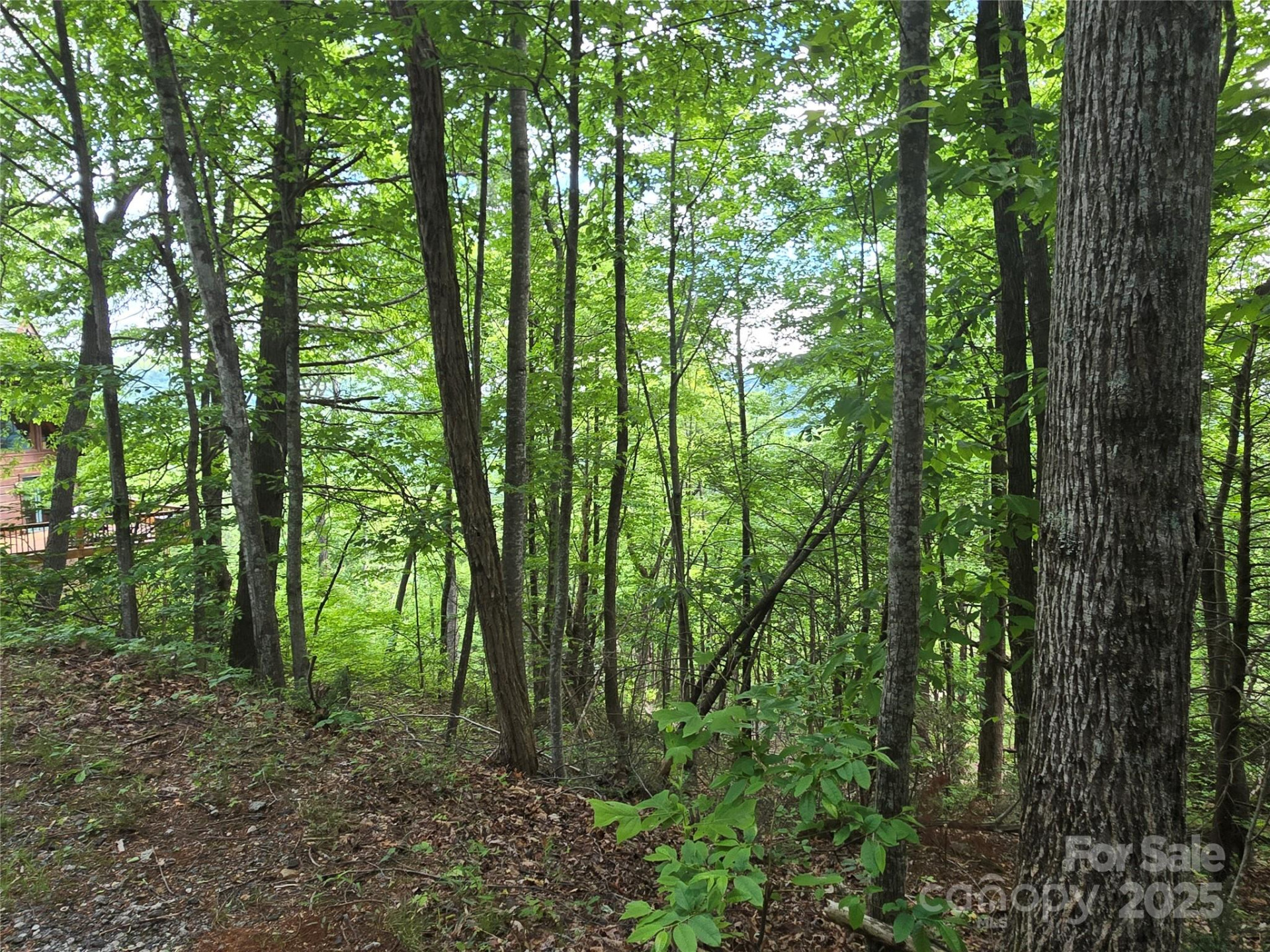 Lot 230 Swallow Lane - Photo 4