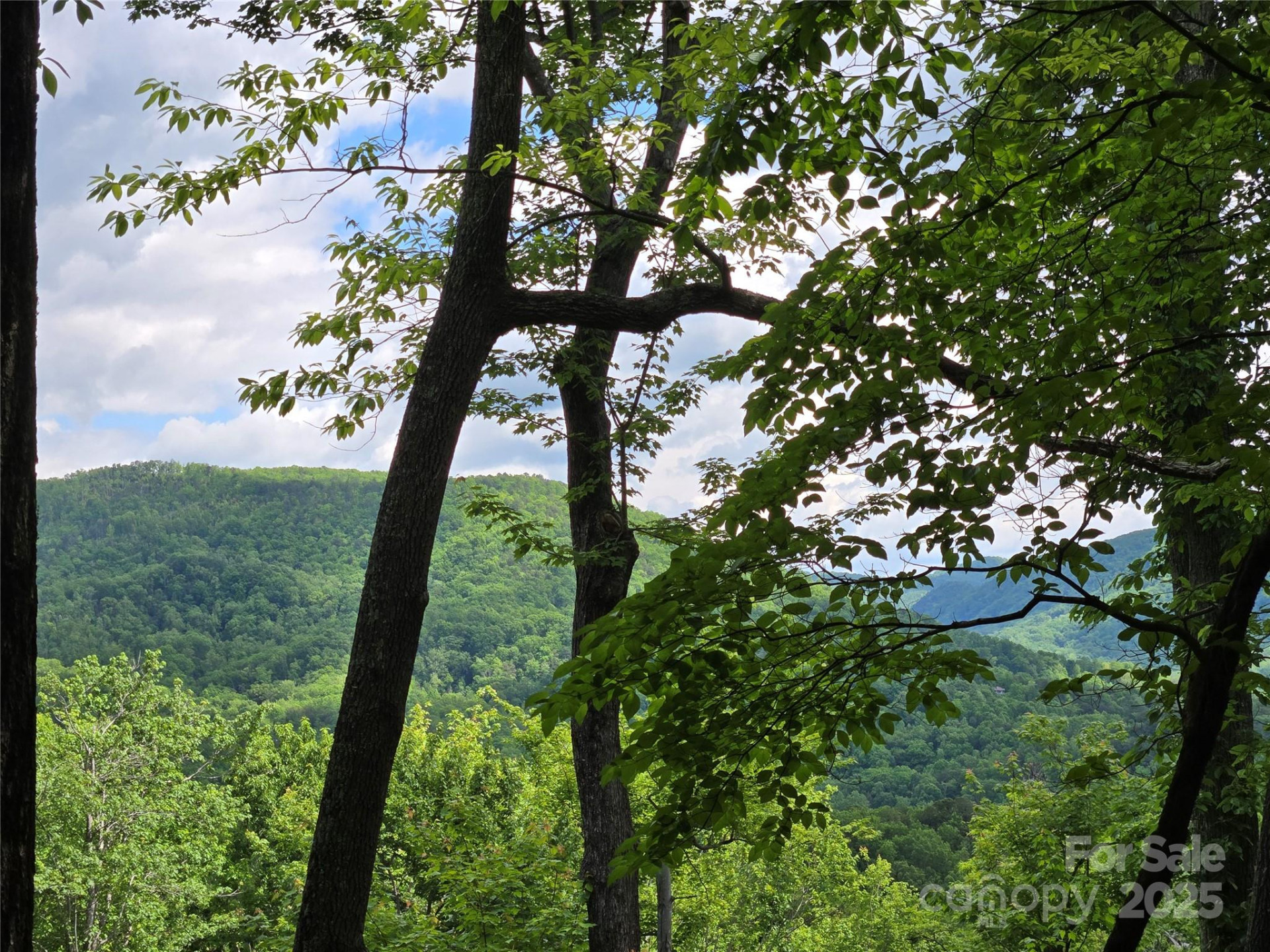 Lot 230 Swallow Lane - Photo 5