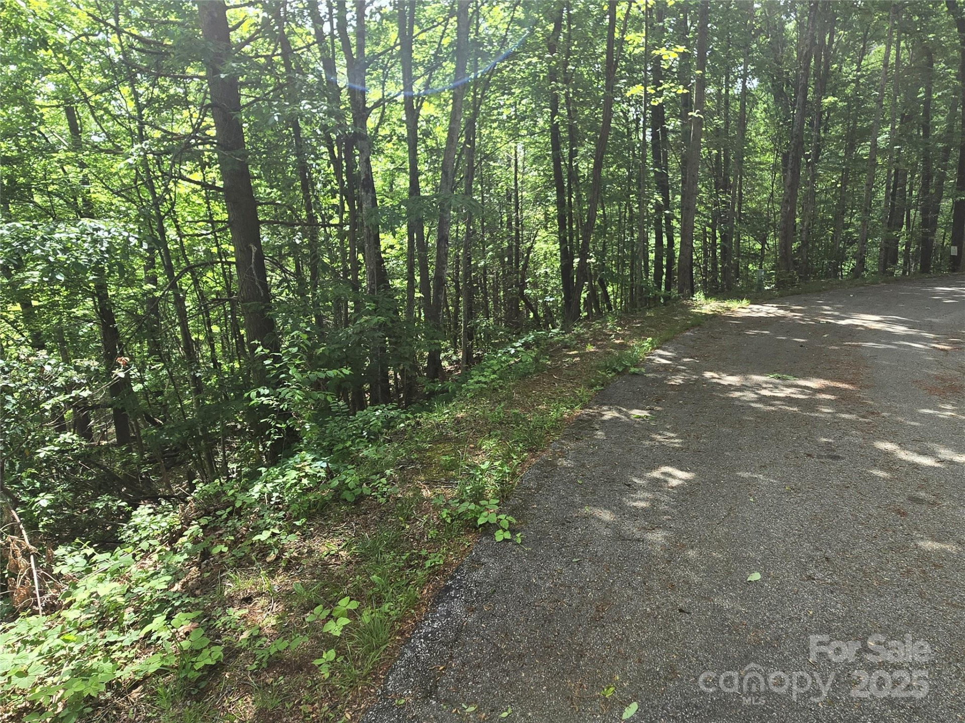 Lot 230 Swallow Lane - Photo 8