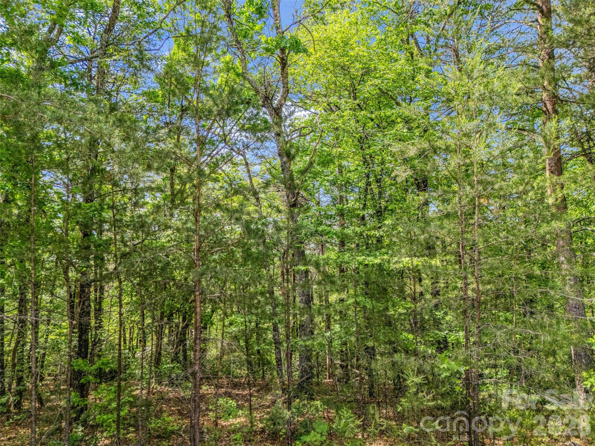 4 Woodward Drive - Photo 2