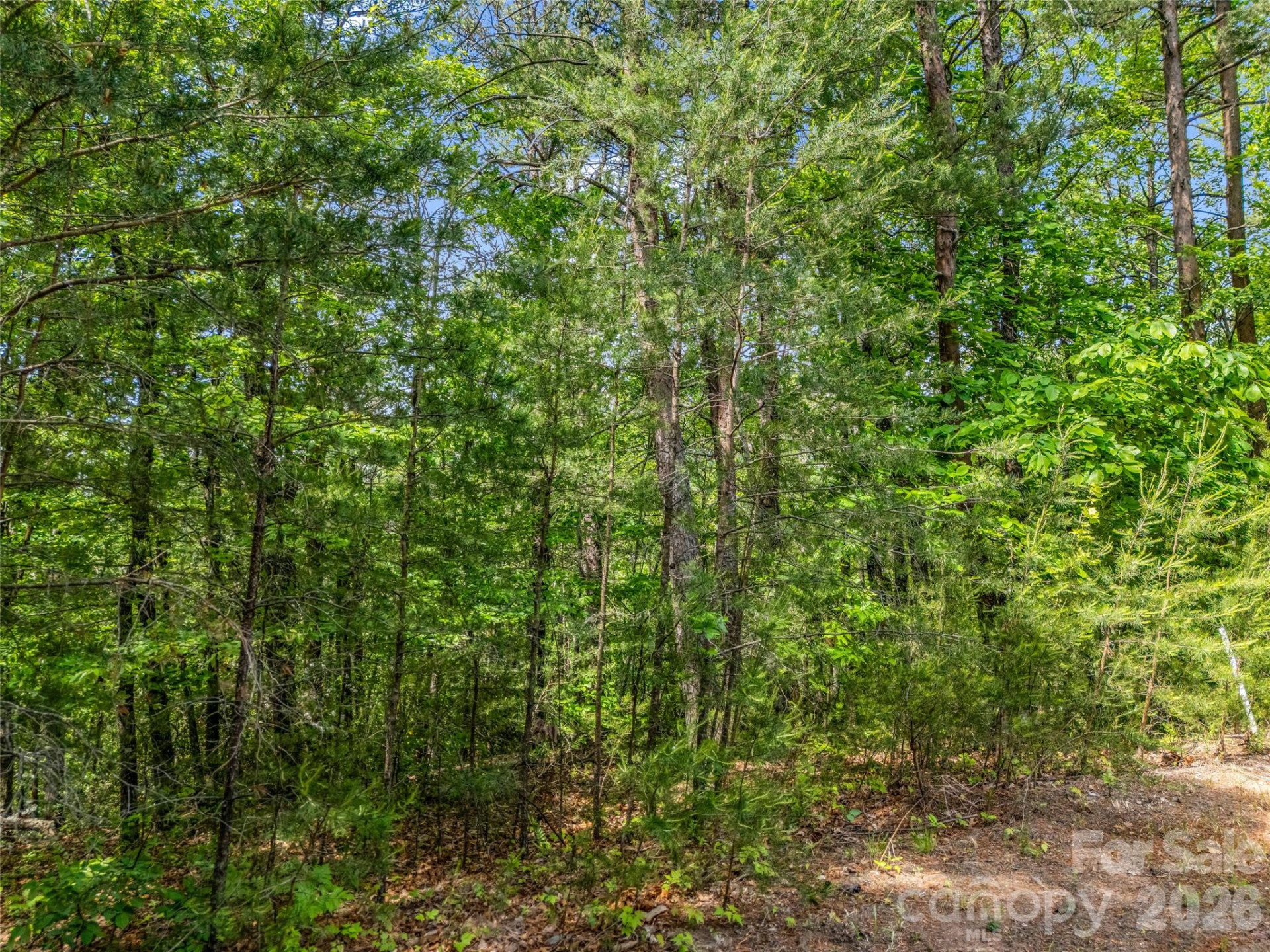 4 Woodward Drive - Photo 3