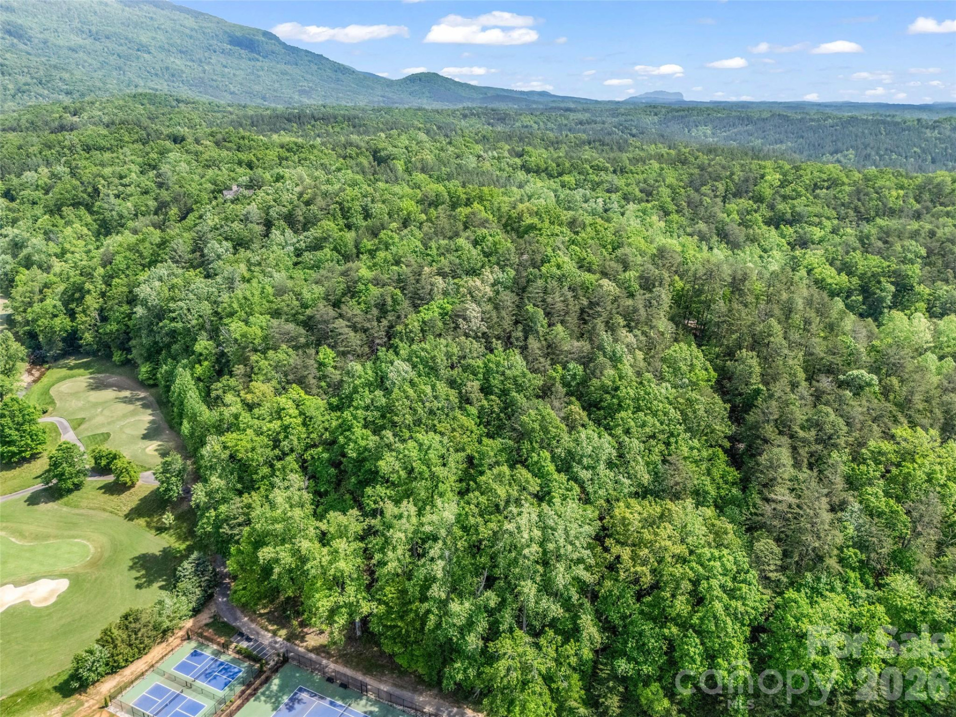 4 Woodward Drive - Photo 25