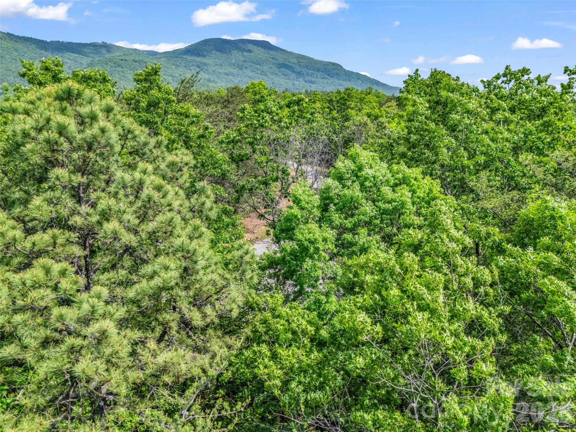 4 Woodward Drive - Photo 32