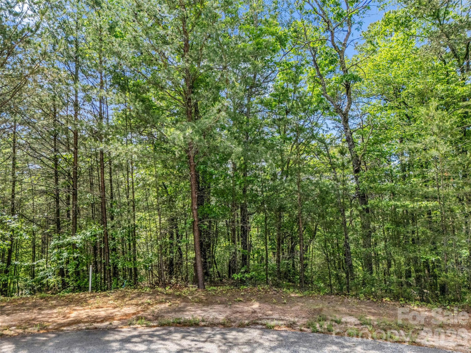 4 Woodward Drive - Photo 33