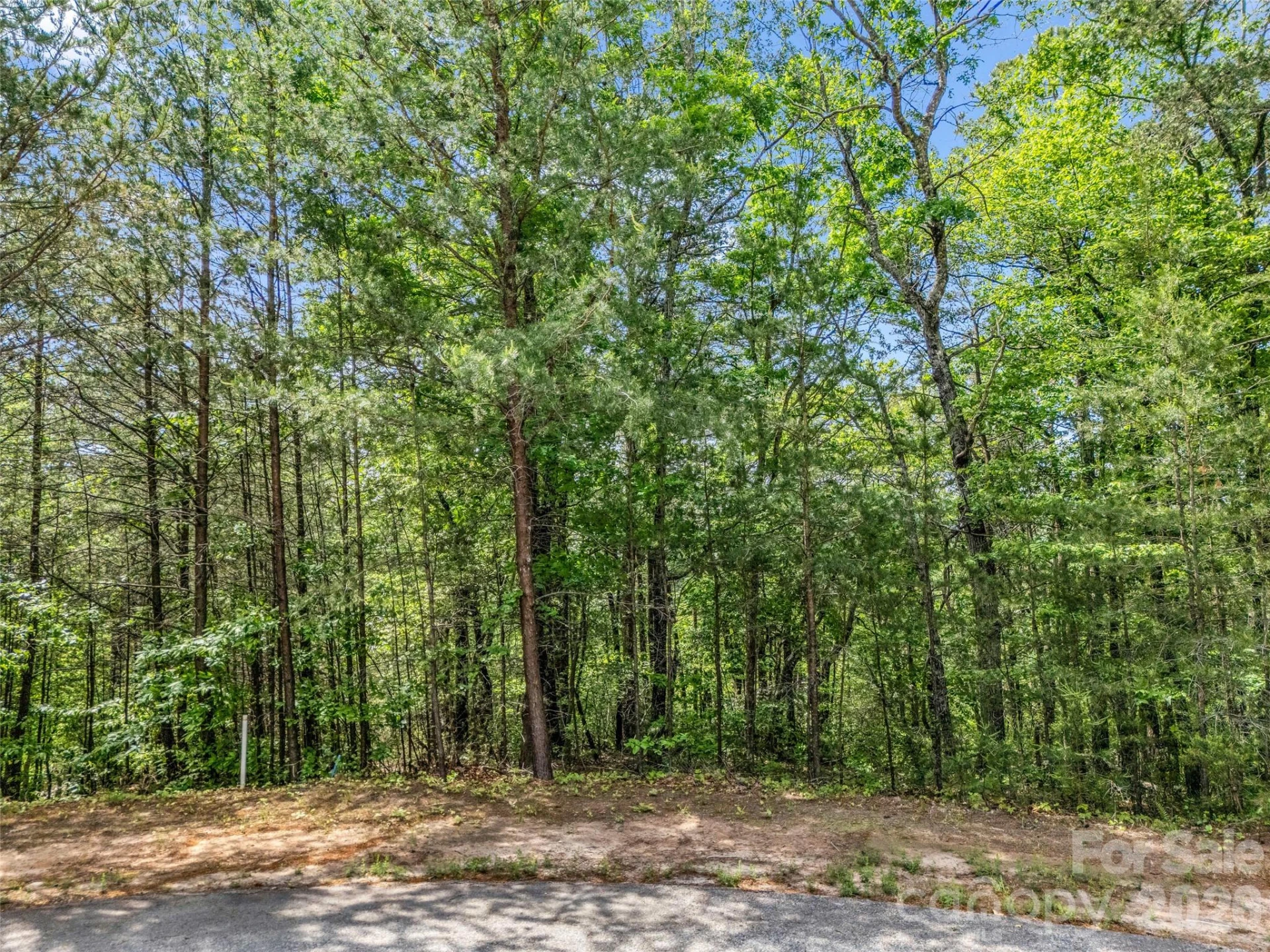 4 Woodward Drive - Photo 33