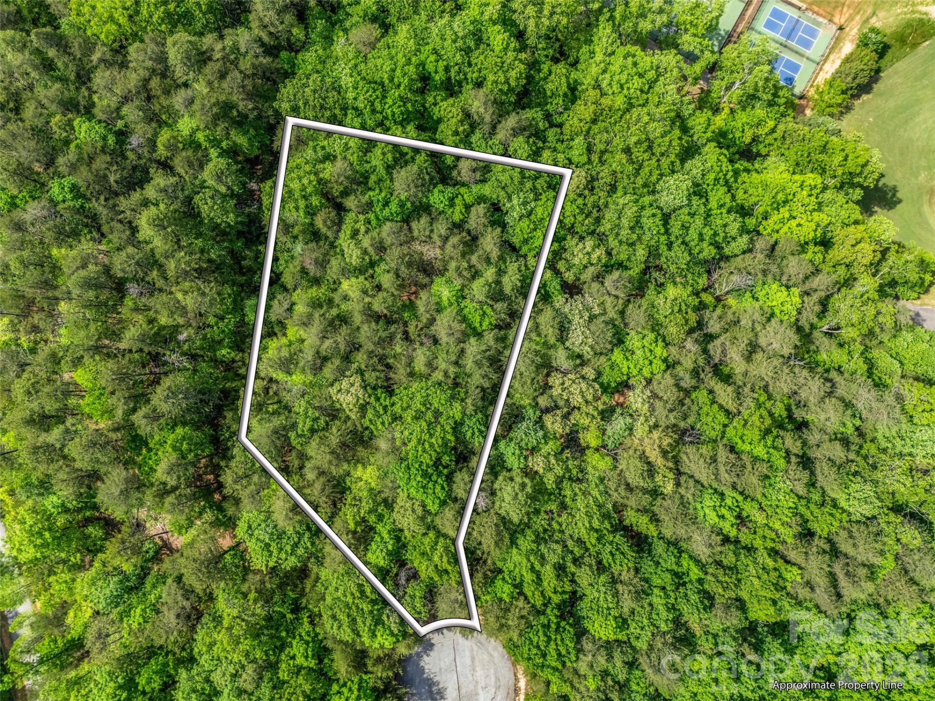 4 Woodward Drive - Photo 5