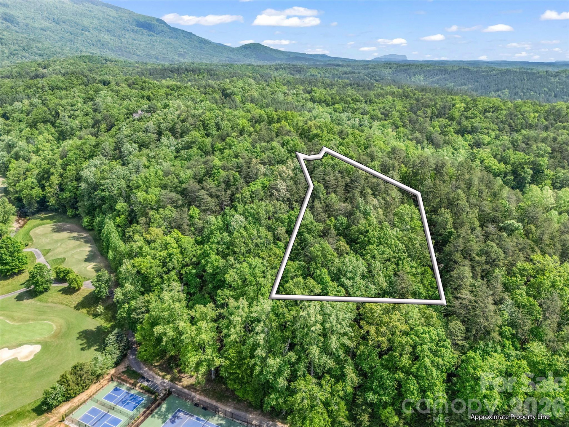 4 Woodward Drive - Photo 8