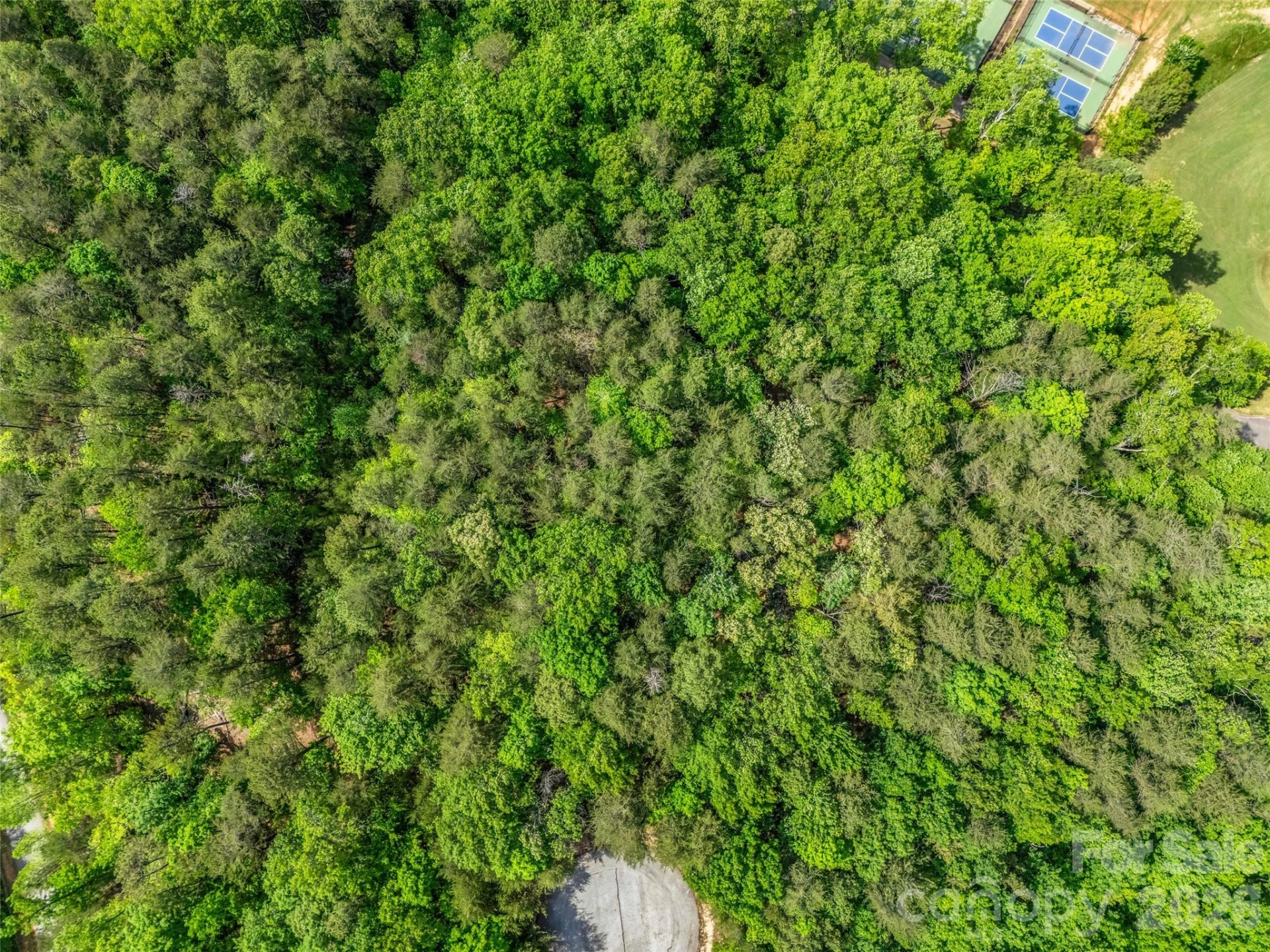 4 Woodward Drive - Photo 10