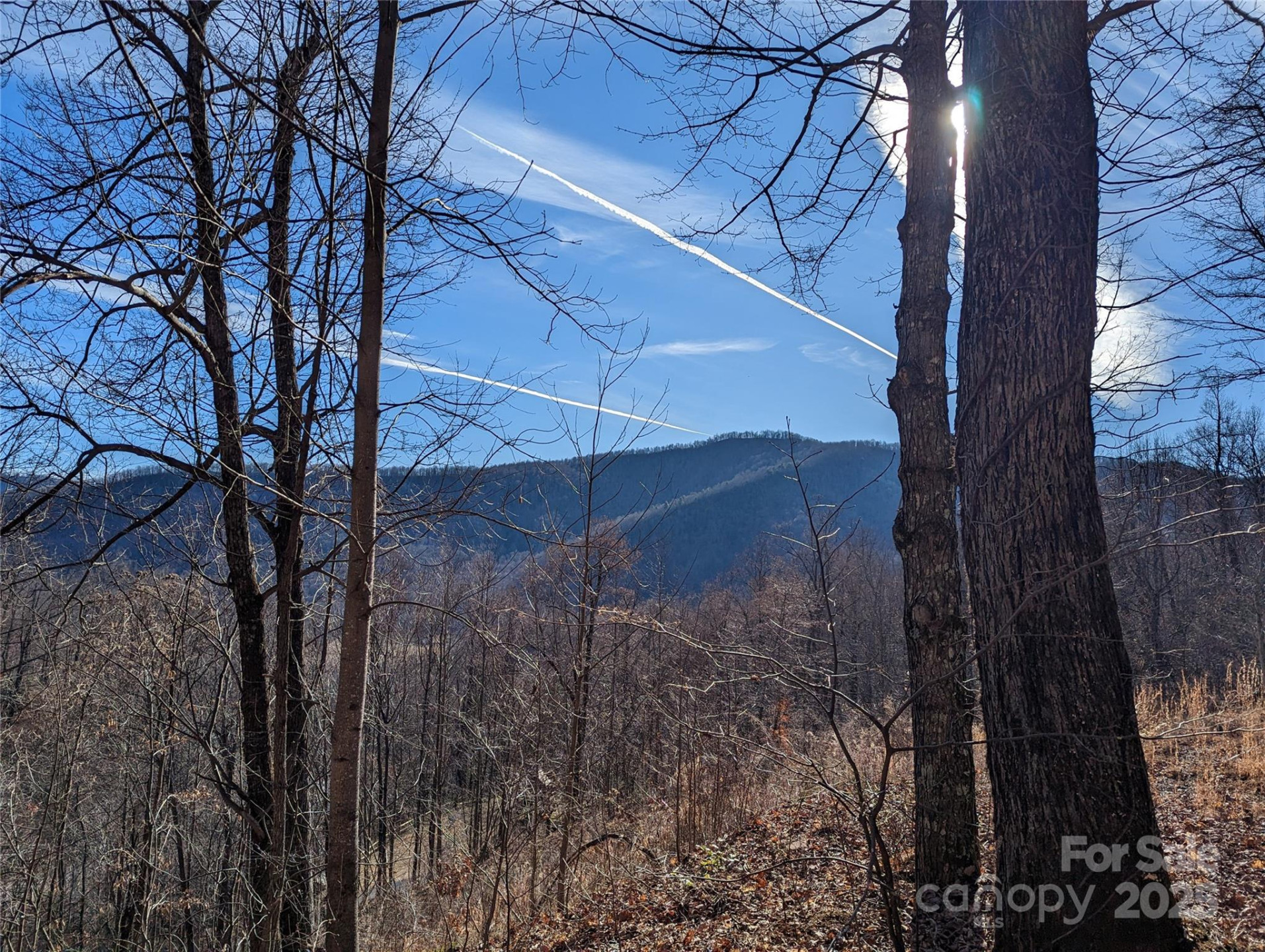 351 Kestrel Lane #T-67 - Photo 2