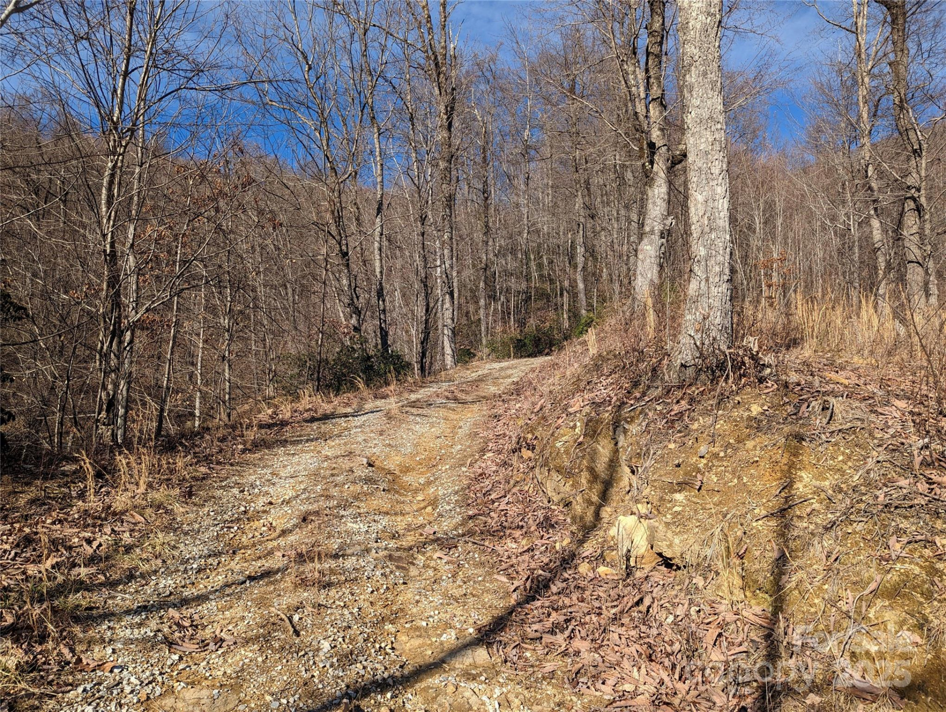 351 Kestrel Lane #T-67 - Photo 5