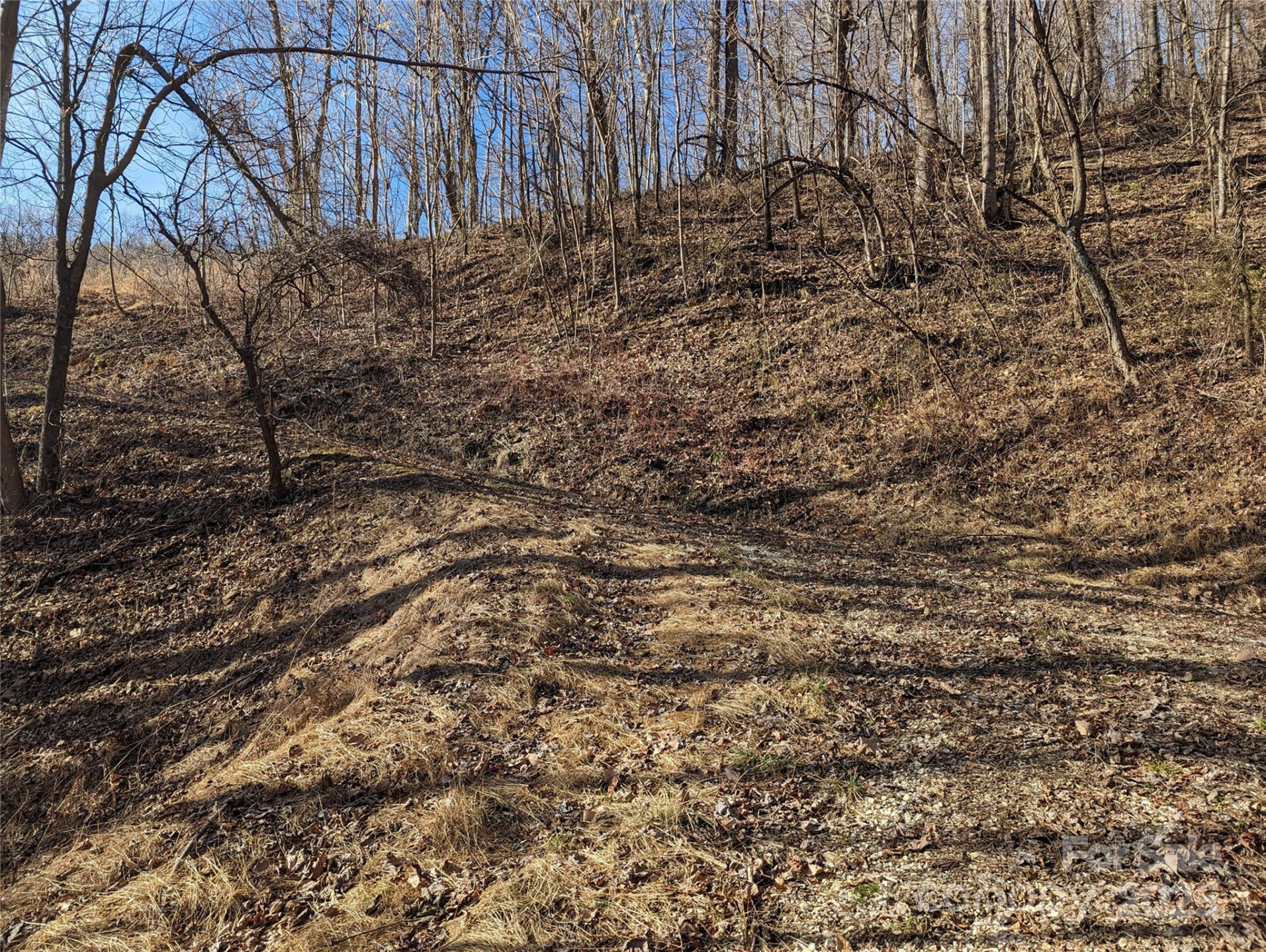 351 Kestrel Lane #T-67 - Photo 6