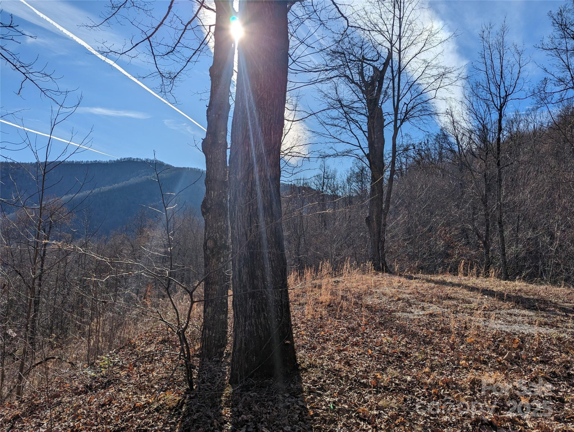 351 Kestrel Lane #T-67 - Photo 7