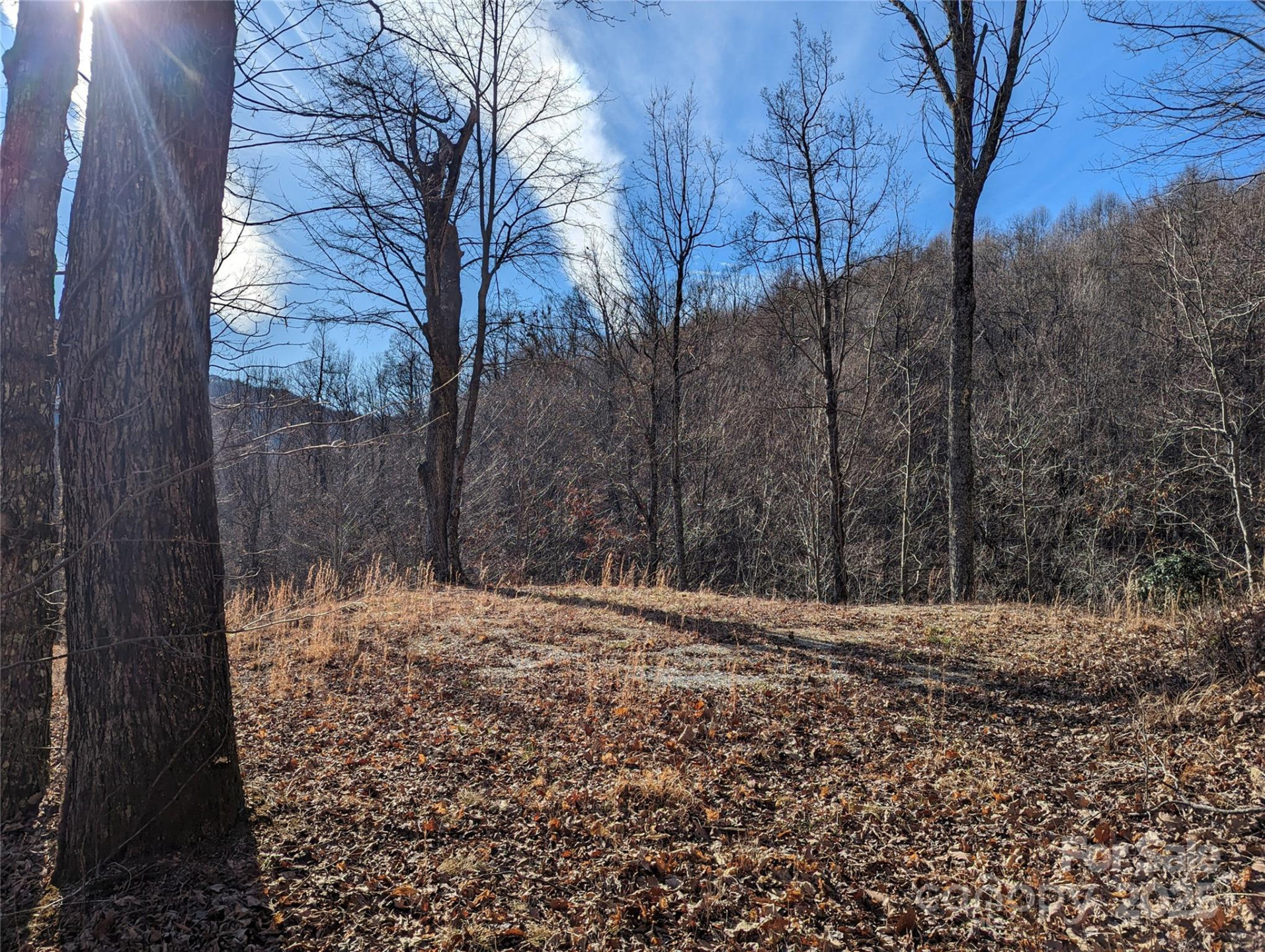 351 Kestrel Lane #T-67 - Photo 8