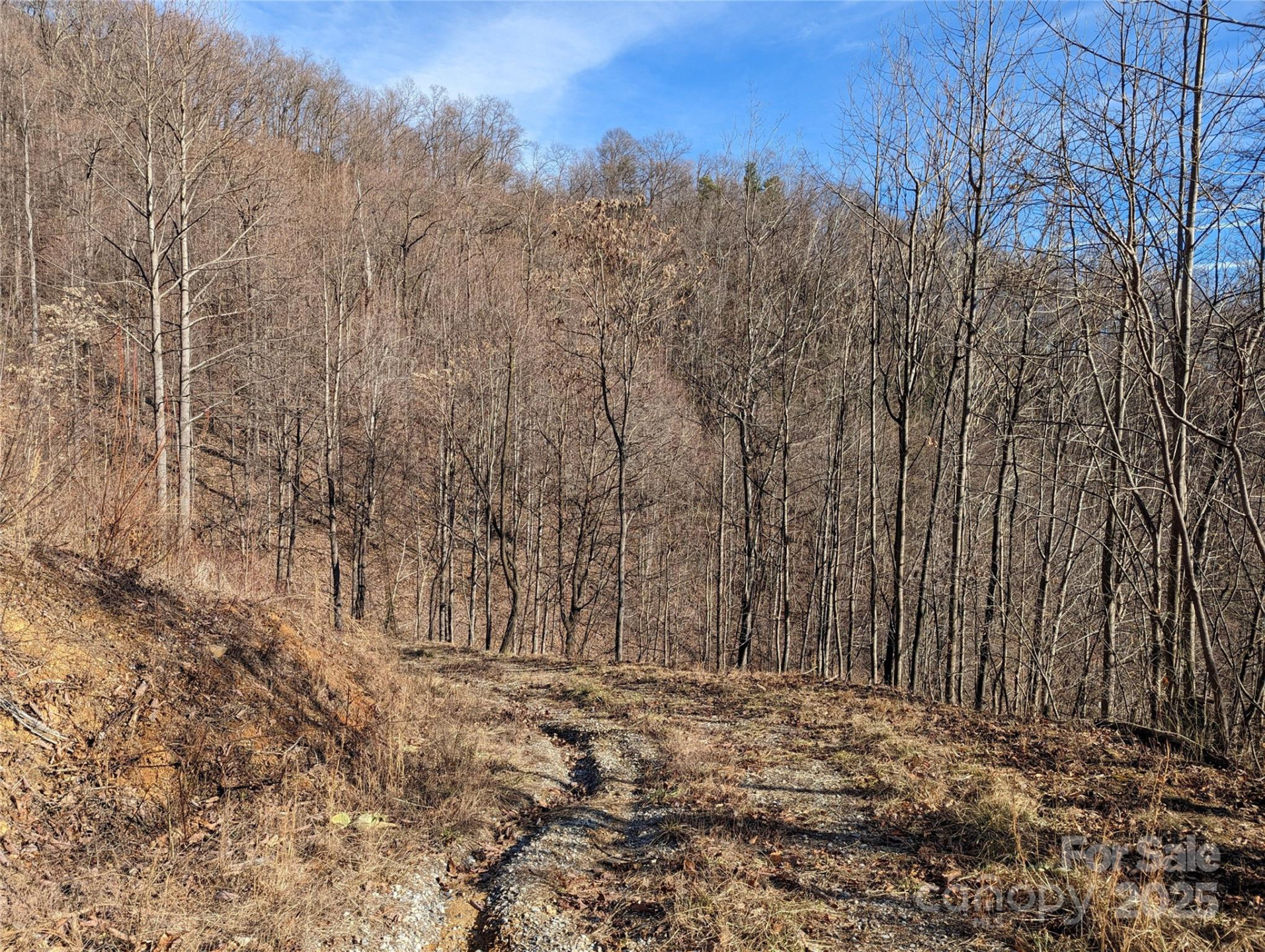 351 Kestrel Lane #T-67 - Photo 9