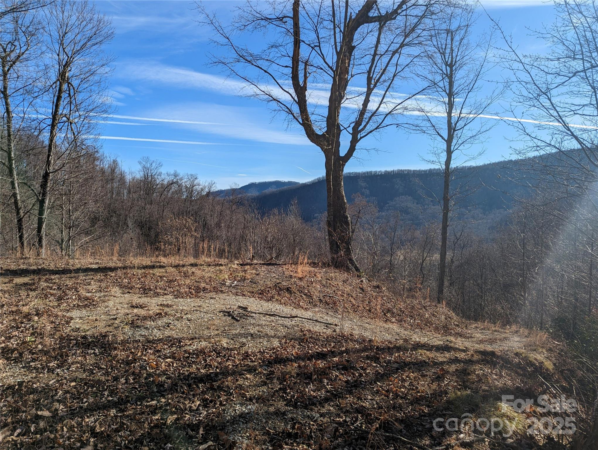 351 Kestrel Lane #T-67 - Photo 10