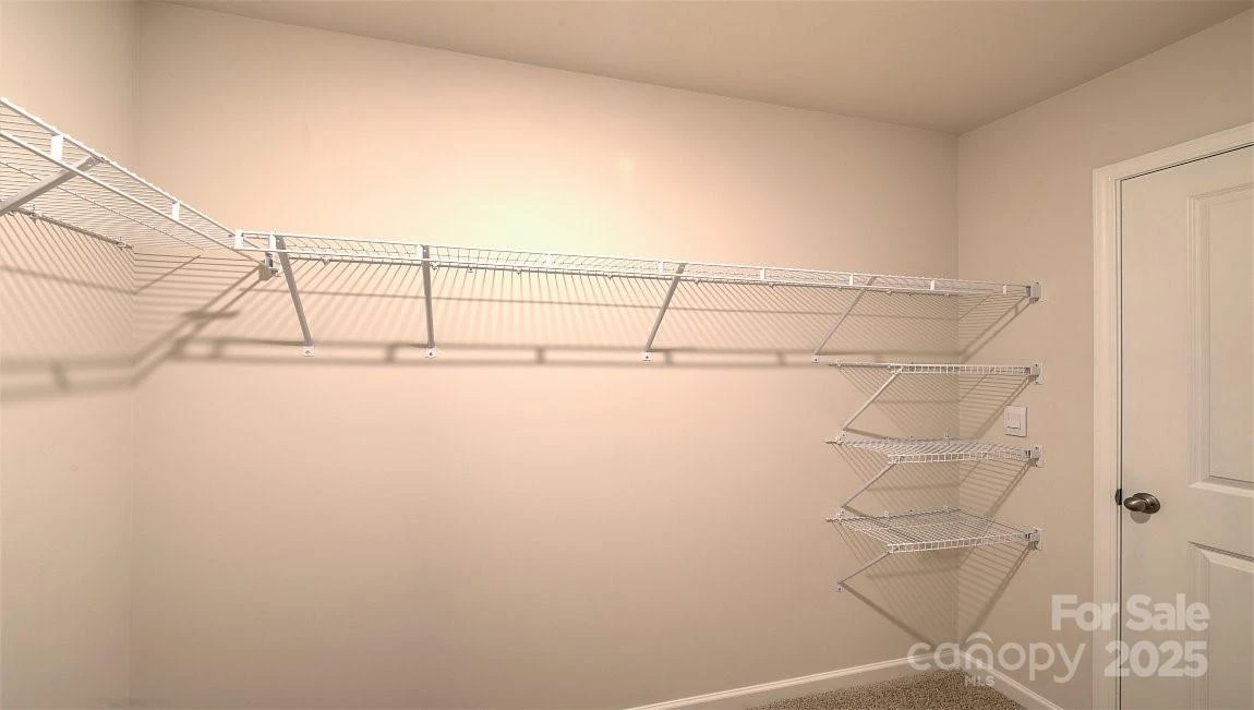 75 Creekwalk Lane - Photo 14