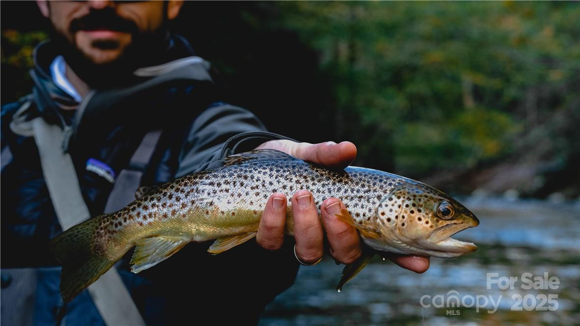 34 Laurel Heights - Photo 11