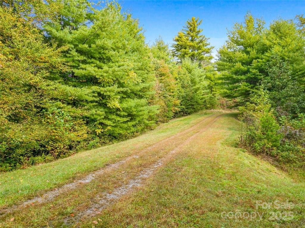 34 Laurel Heights - Photo 13