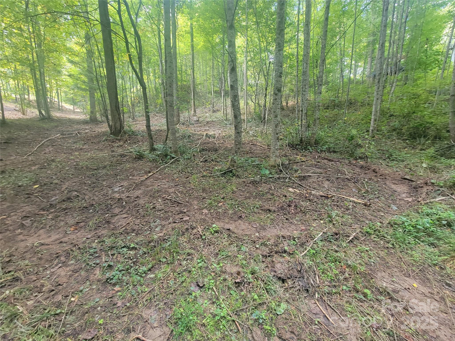 00 Bradford Park #10 - Photo 14