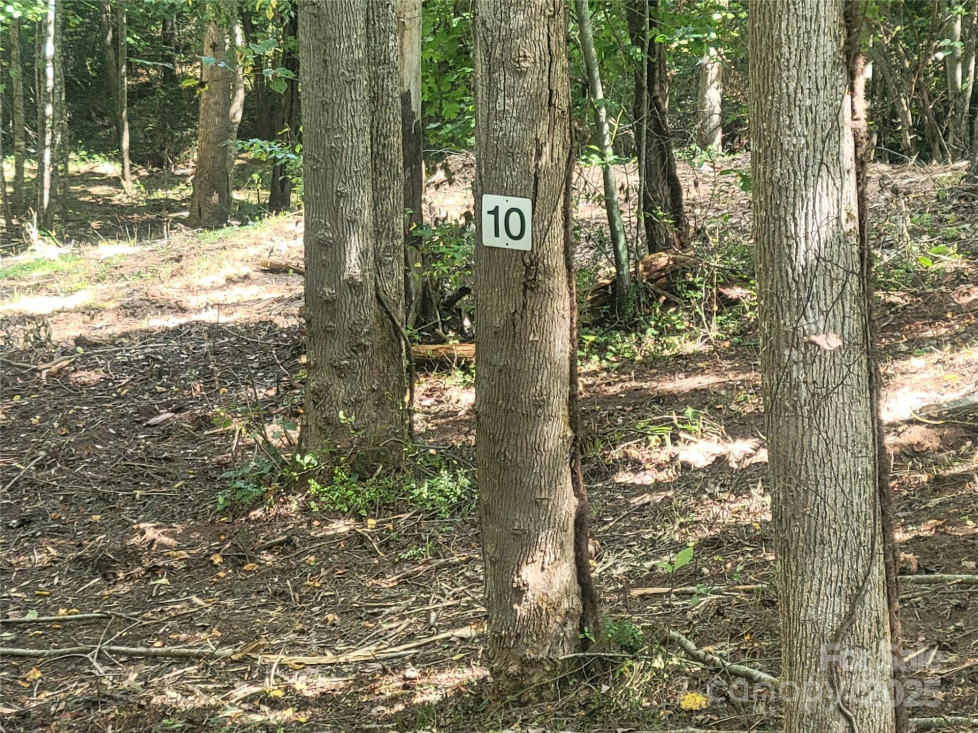 00 Bradford Park #10 - Photo 17