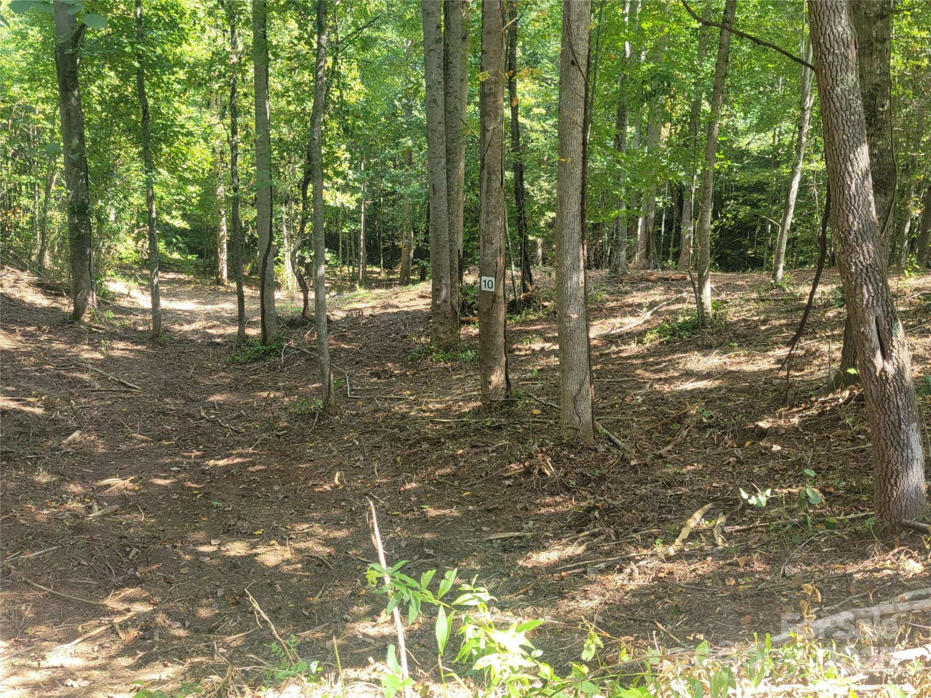 00 Bradford Park #10 - Photo 18