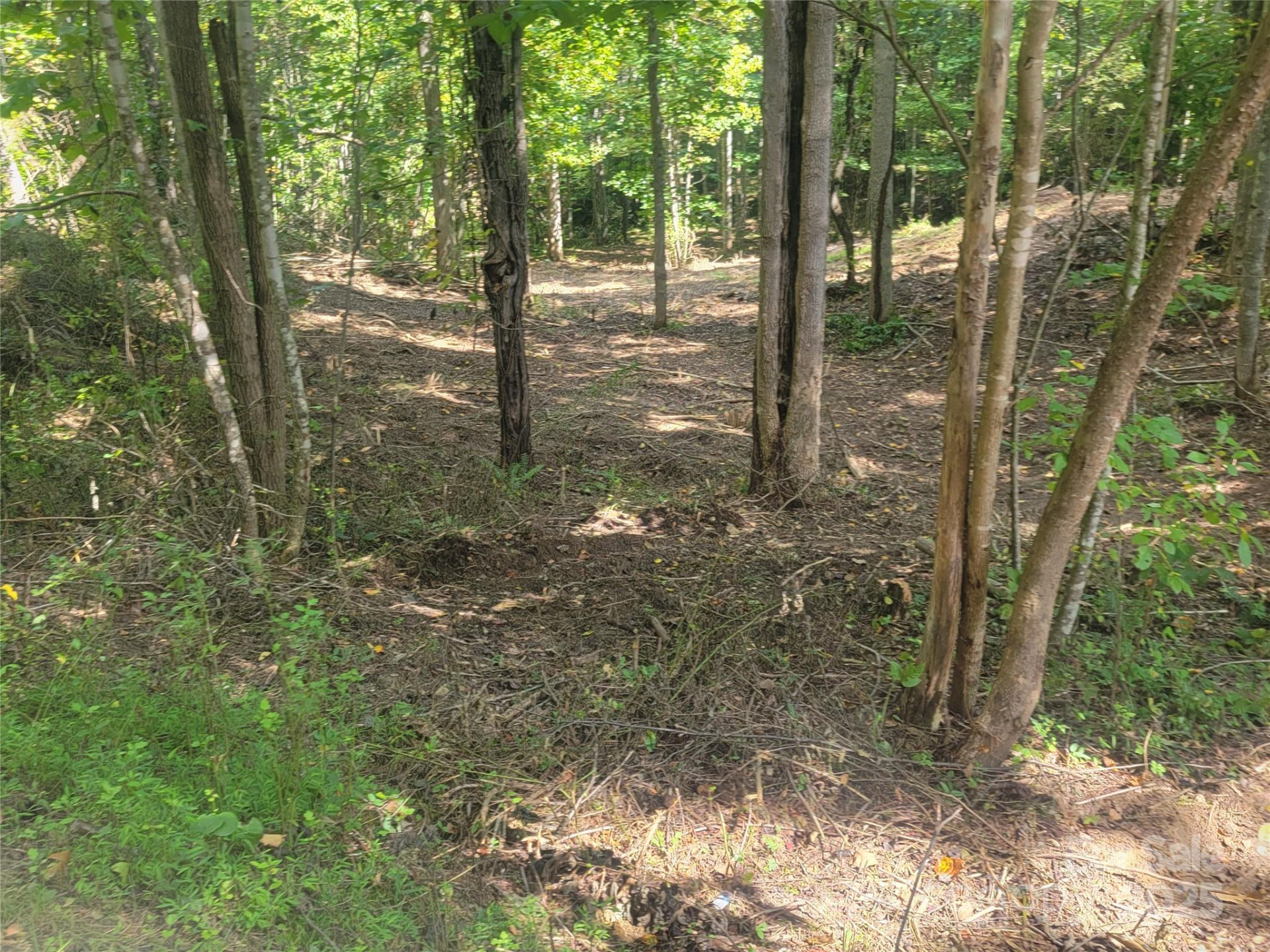 00 Bradford Park #10 - Photo 19