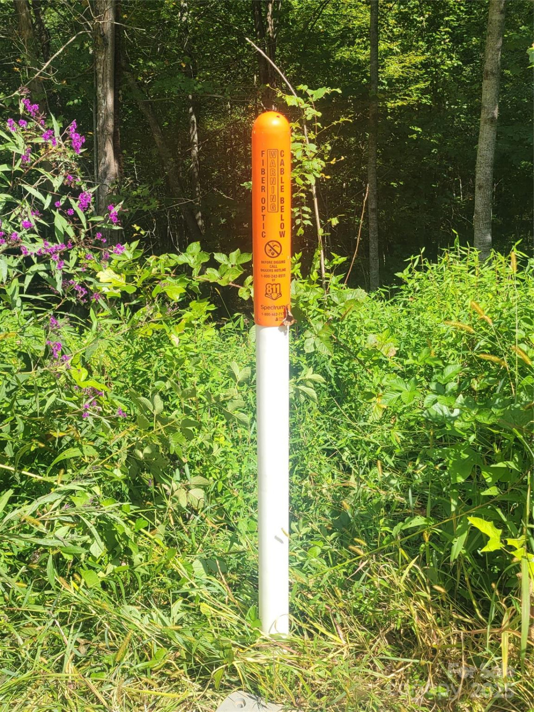 00 Bradford Park #10 - Photo 20