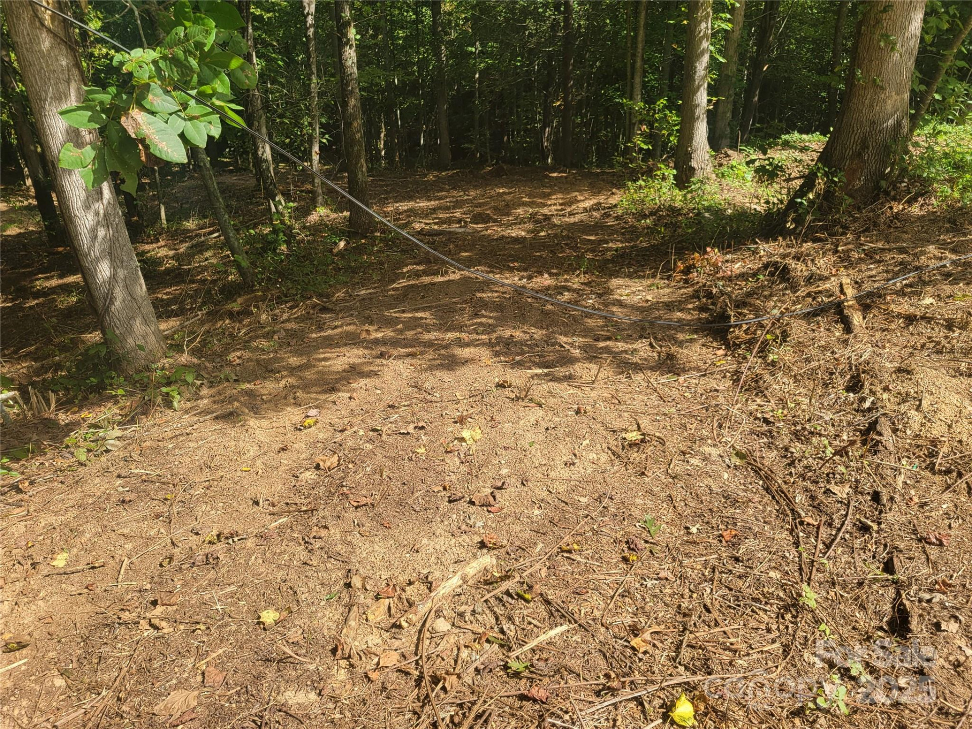 00 Bradford Park #10 - Photo 4