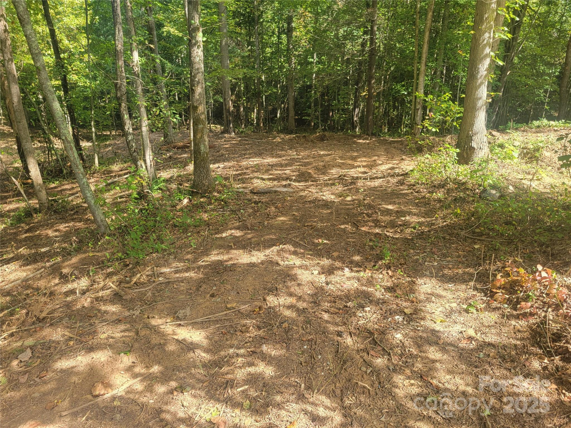 00 Bradford Park #10 - Photo 5