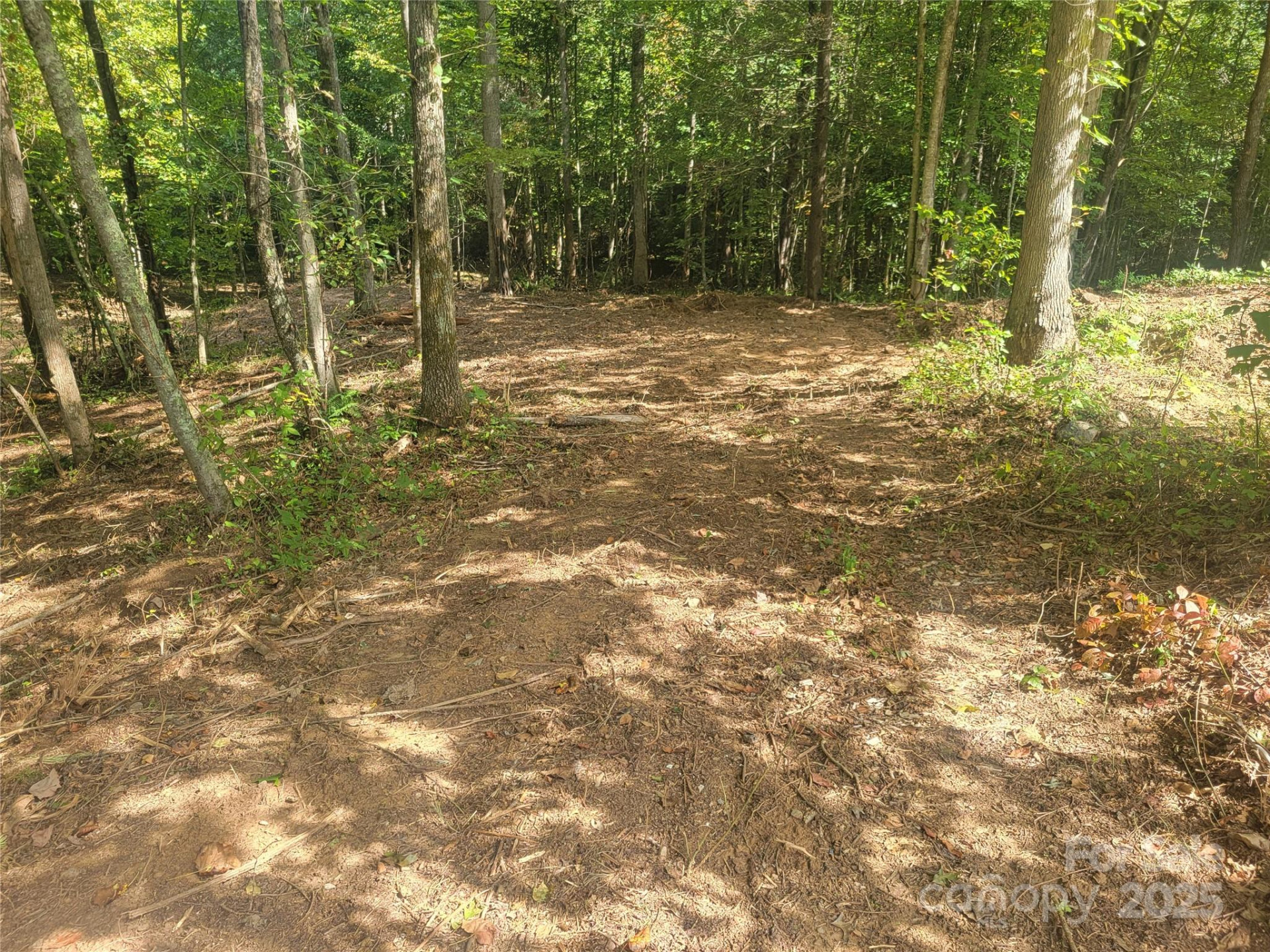 00 Bradford Park #10 - Photo 6