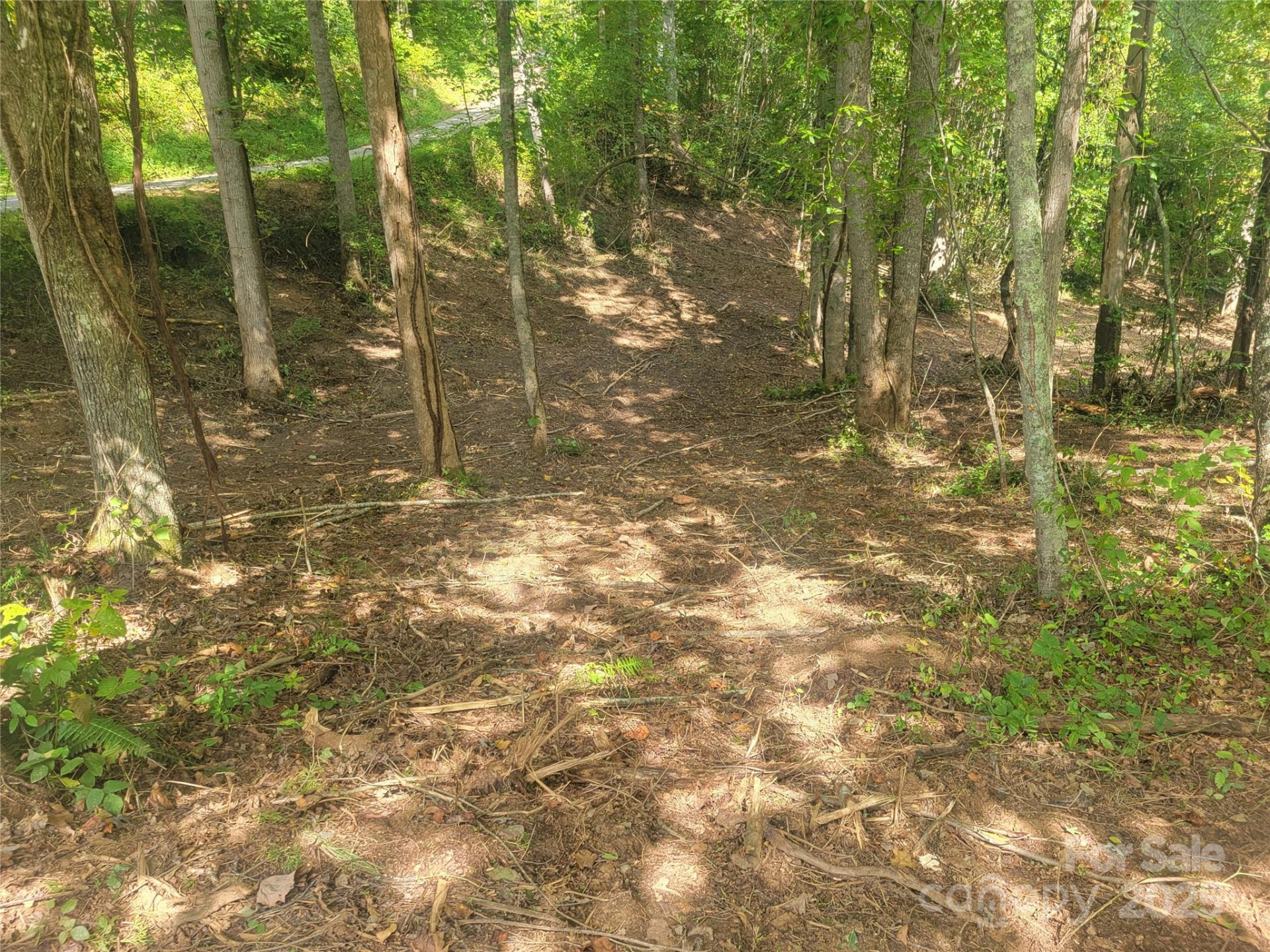 00 Bradford Park #10 - Photo 7